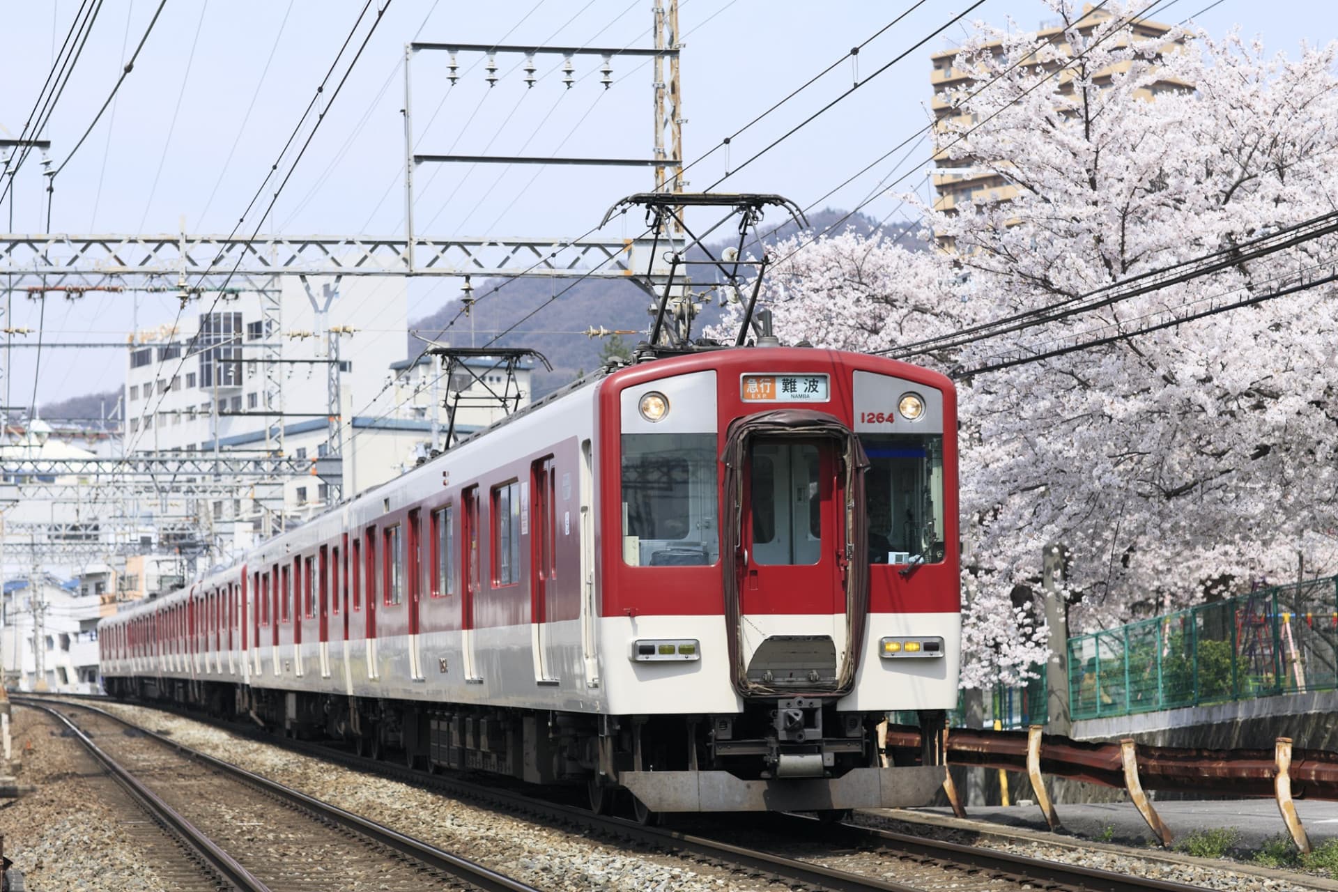 Kansai Railway Pass Lite - تصویر 5