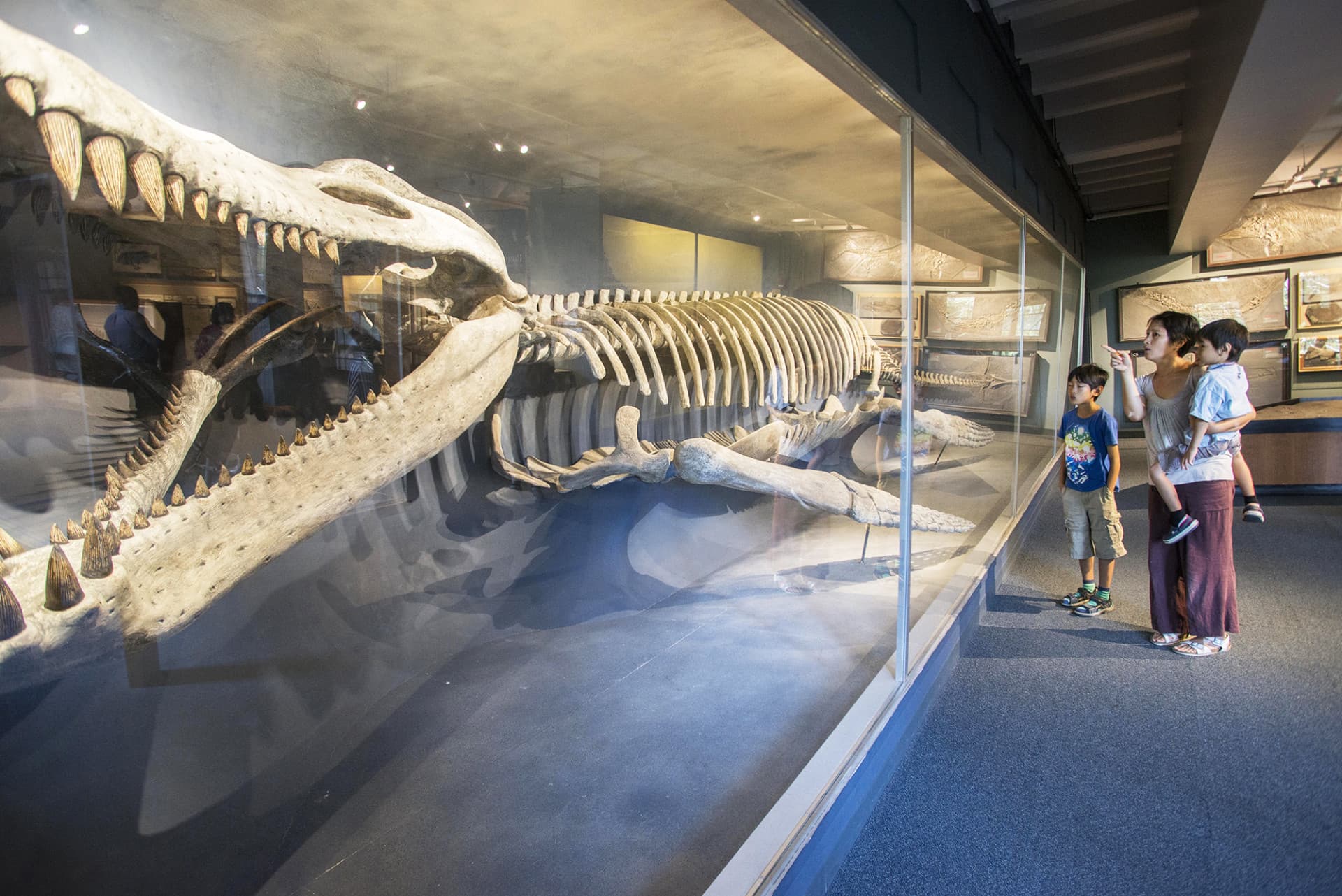 Go City Boston Explorer Pass: Save up to 50% on Attractions - تصویر 26