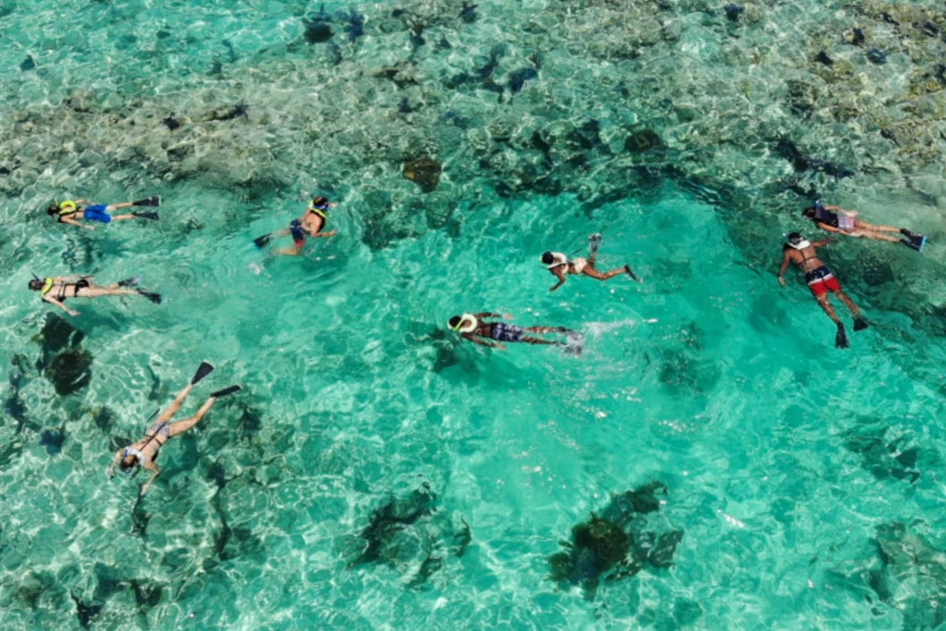 Key West: 3hr Snorkeling Experience with Unlimited Drinks - تصویر 8