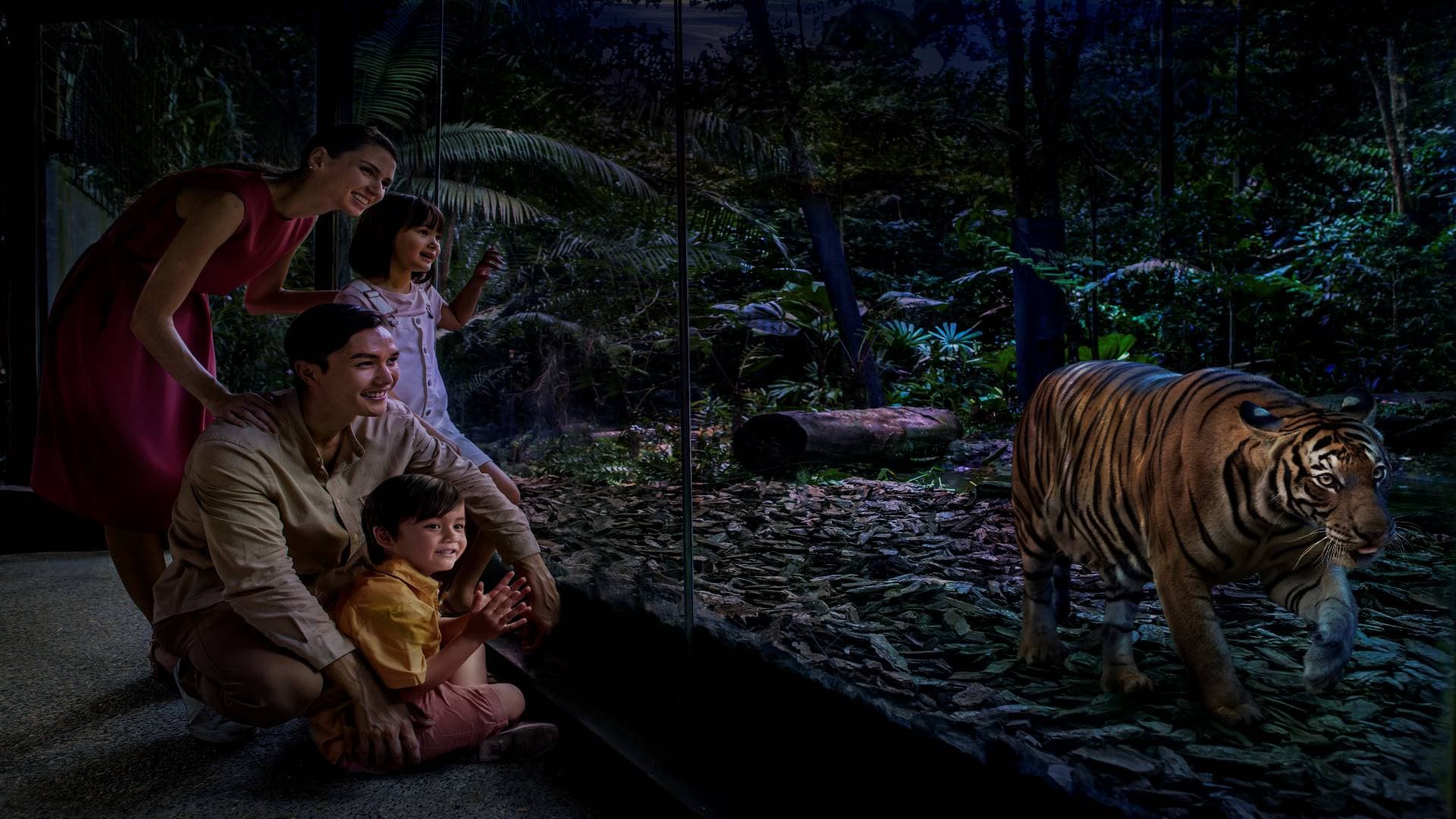 5-in-1 Day Pass: Night Safari + Singapore Zoo + Bird Paradise + River Wonders + Rainforest Adventure - تصویر 17