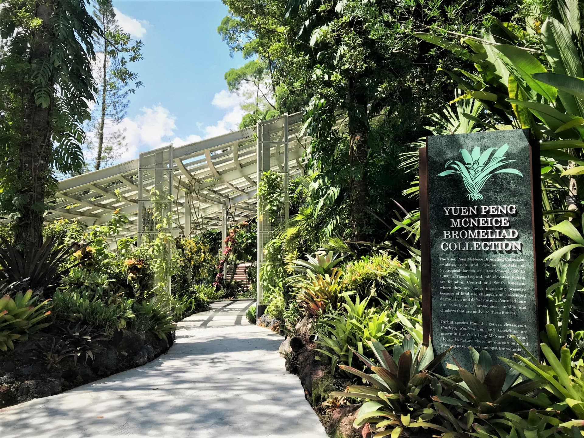 COMBO: Gardens by the Bay - Floral Fantasy + National Orchid Garden - تصویر 5