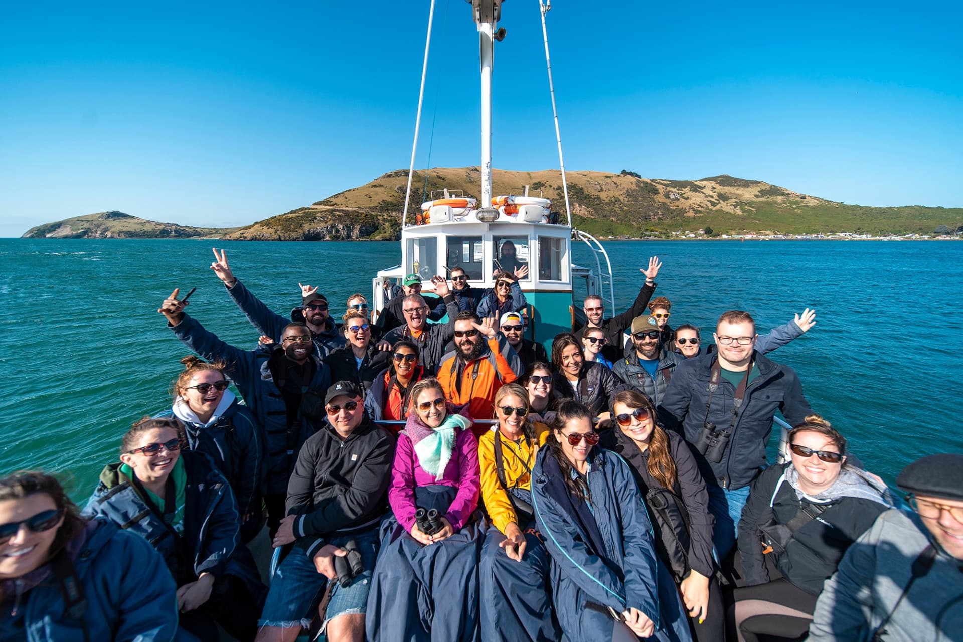 Monarch Wildlife Cruise and Peninsula Encounter Tour - تصویر 2
