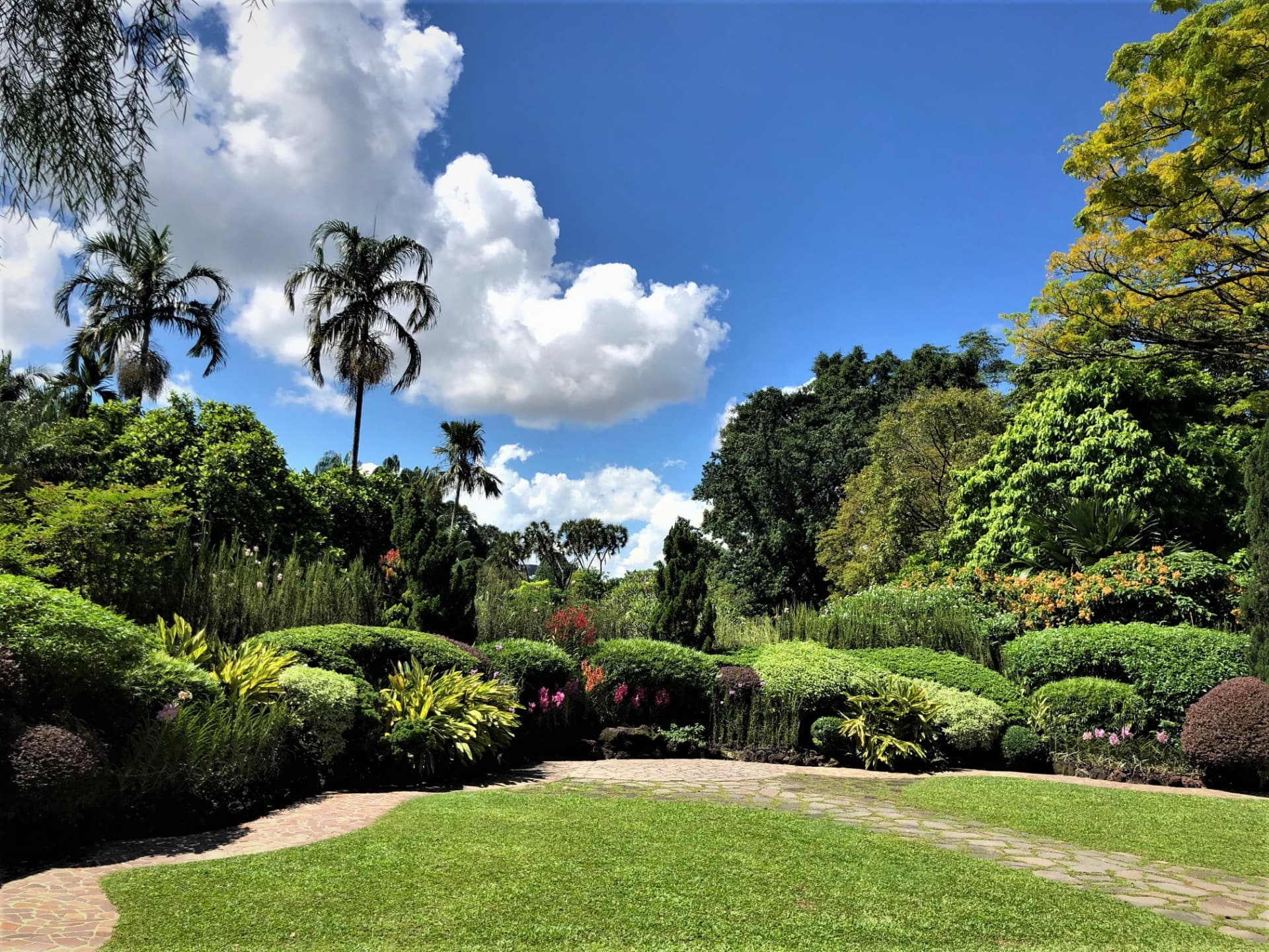 National Orchid Garden Ticket - تصویر 2