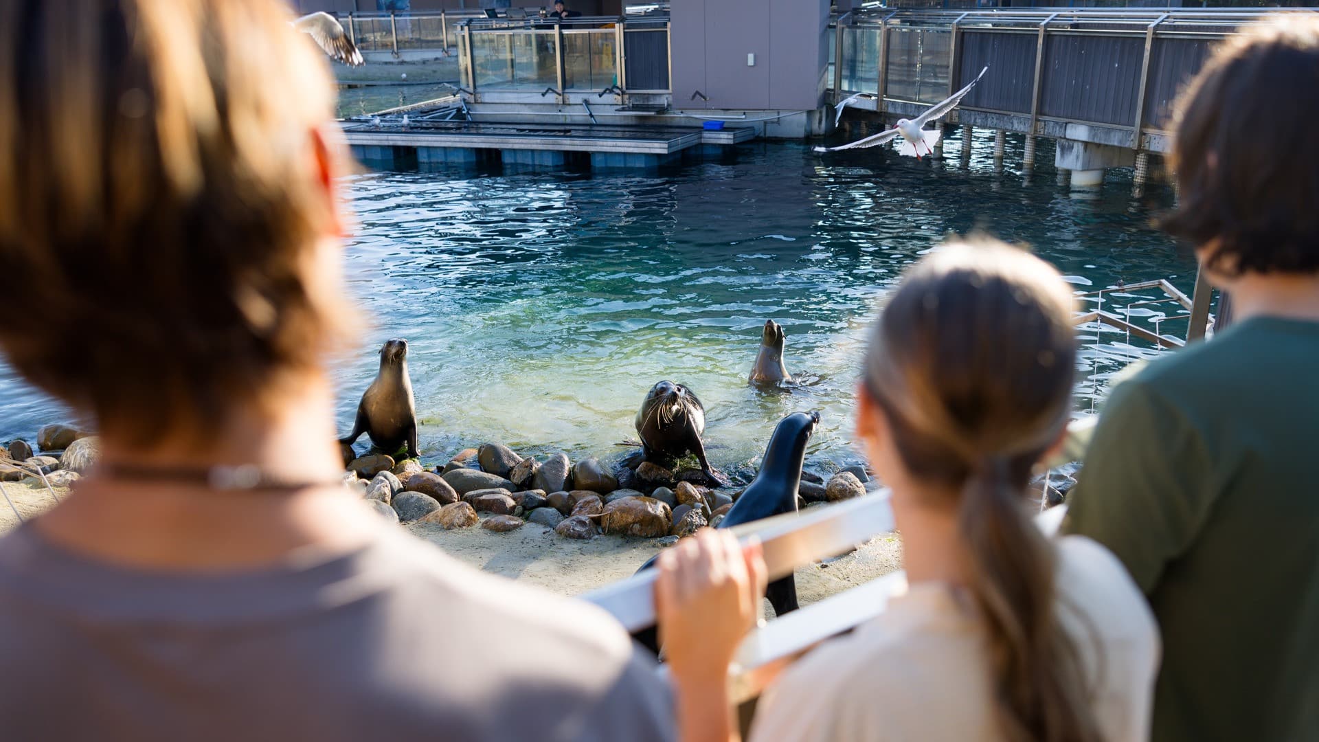 Gold Coast Warner Bros. Movie World, Sea World, Paradise Country and Wet'n'Wild Multiday Pass - تصویر 17