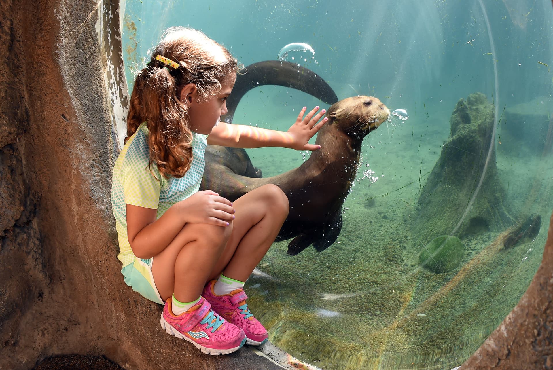 Go City Miami All-Inclusive Pass: Save up to 50% on Attractions - تصویر 19