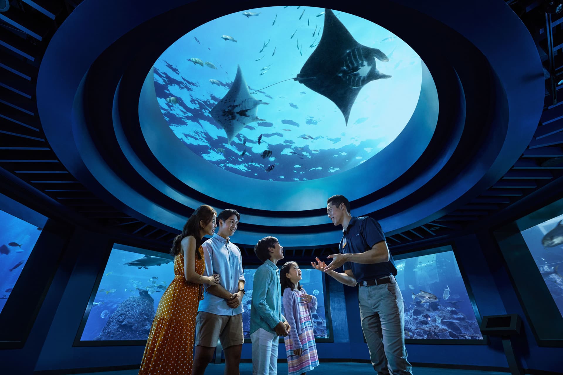 COMBO: Singapore Cable Car + Singapore Oceanarium + Albatross Hop-On Hop-Off Speedboat Tickets - تصویر اصلی