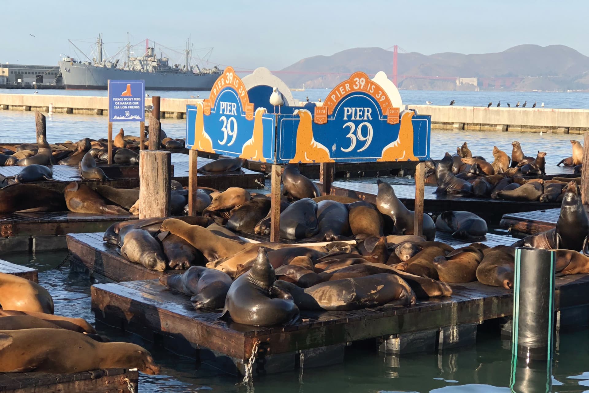 Alcatraz Island Ticket with 2-Day Hop-On Hop-Off & Night Bus Tour - تصویر 7