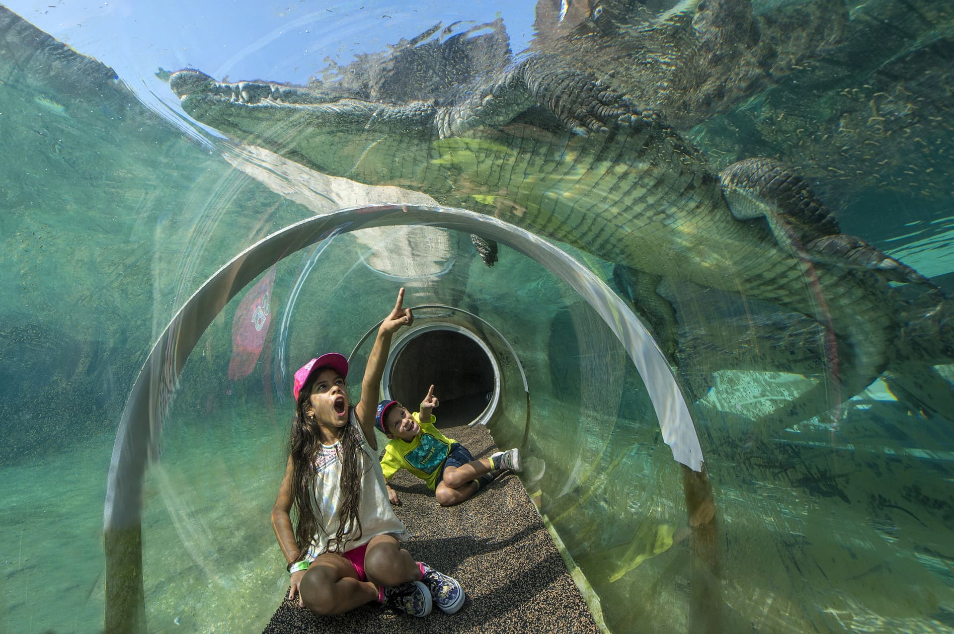 Go City Miami All-Inclusive Pass: Save up to 50% on Attractions - تصویر 4