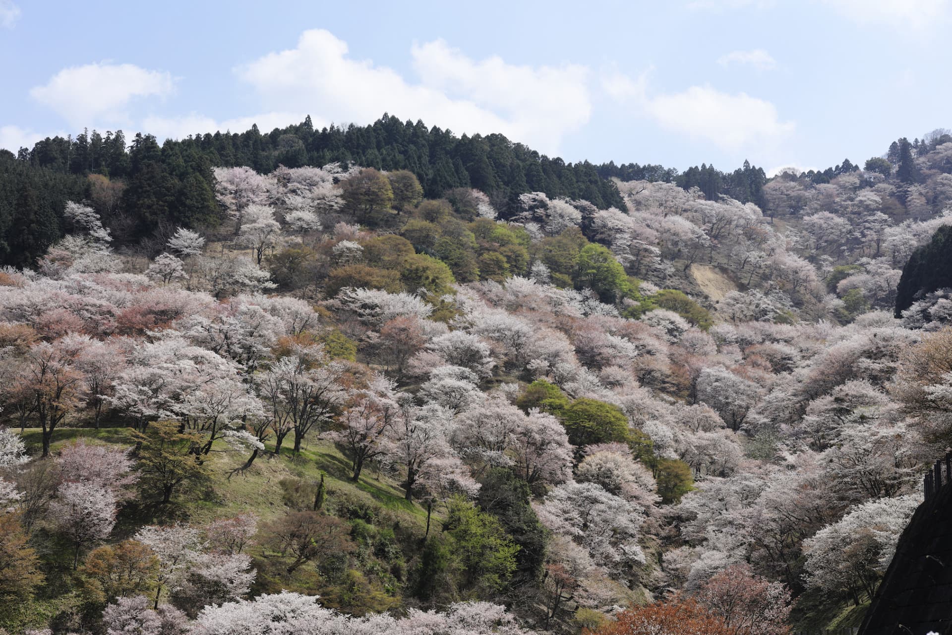 Kintetsu Rail Pass - تصویر 8