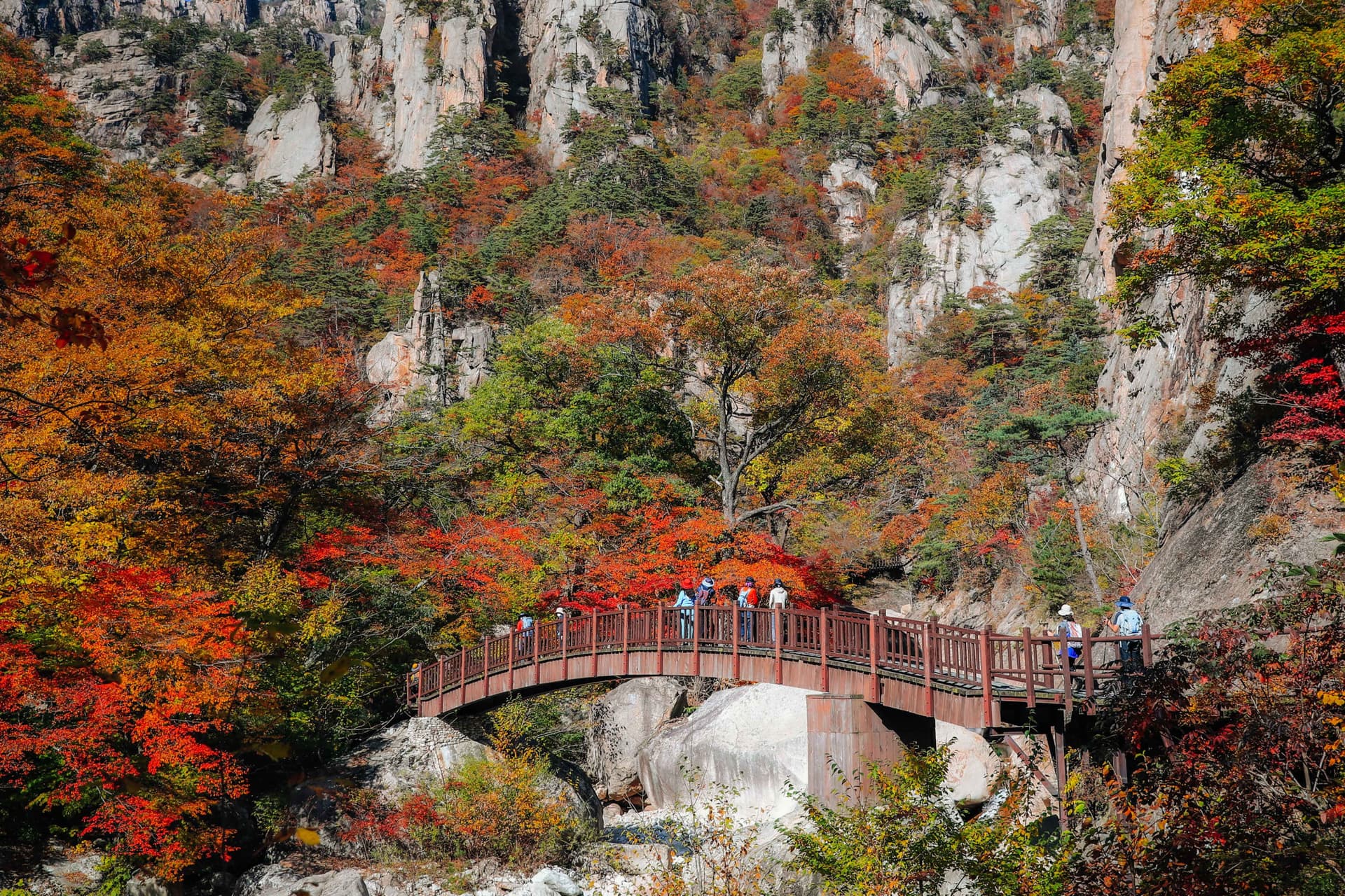 Nami Island, Mount Seorak, and Gapyeong Rail Bike Full-Day Tour from Seoul - تصویر 3