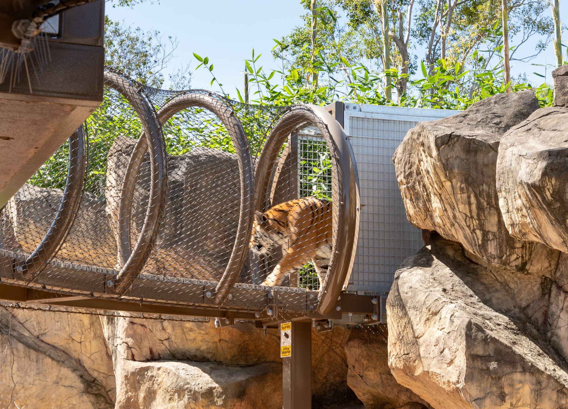 Dreamworld Gold Coast Ticket - تصویر 11