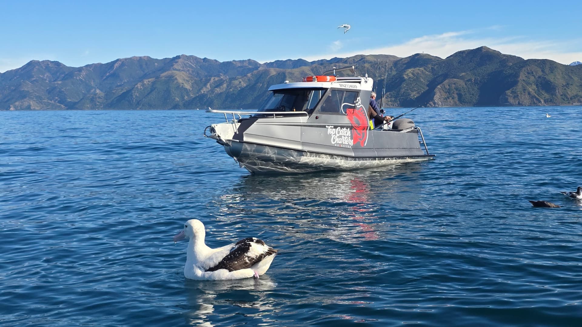 Fishing and Crayfish Trip from Kaikoura - تصویر 9