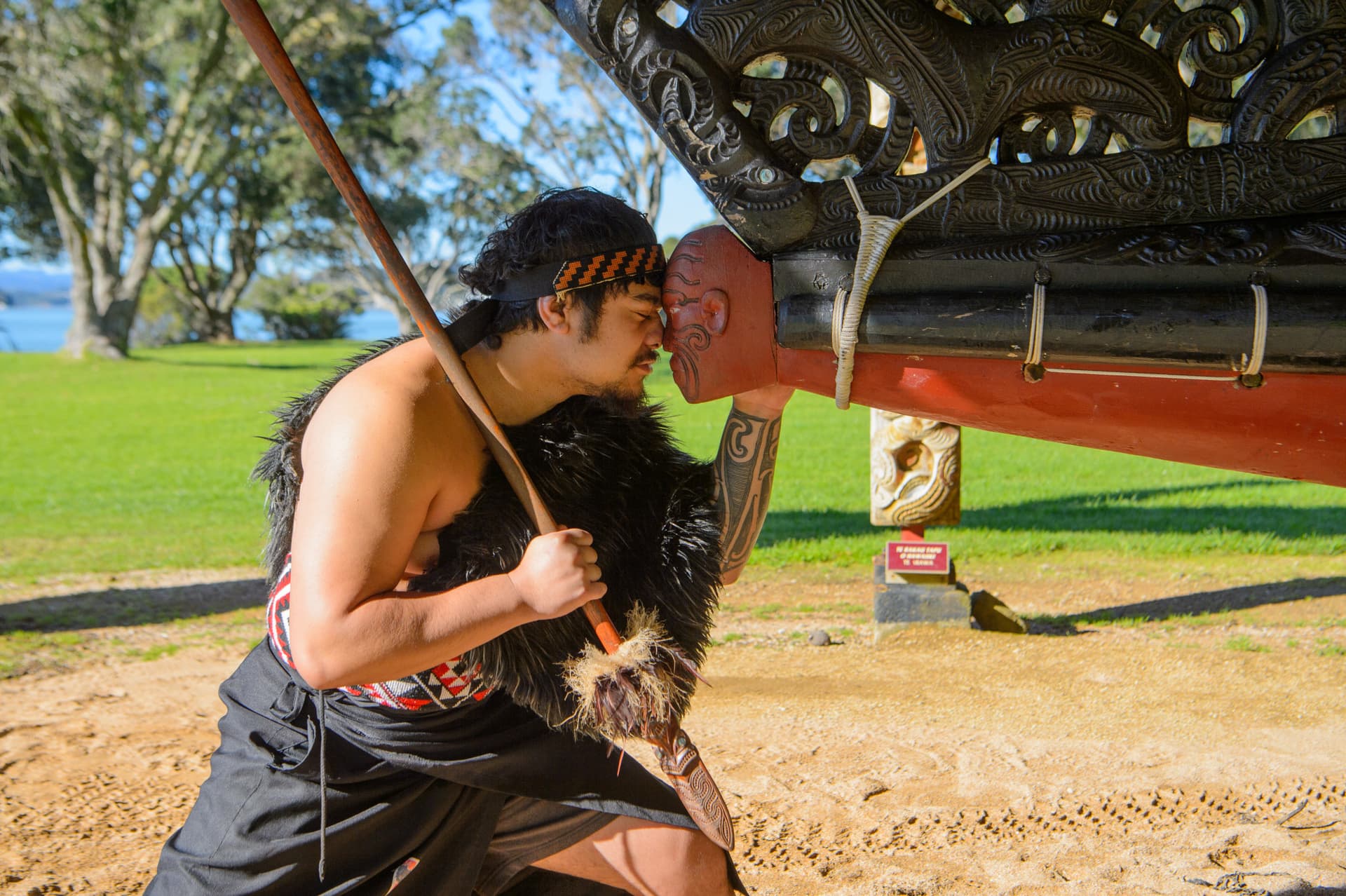 Waitangi Treaty Grounds Ticket with Cultural Guided Tour - تصویر اصلی