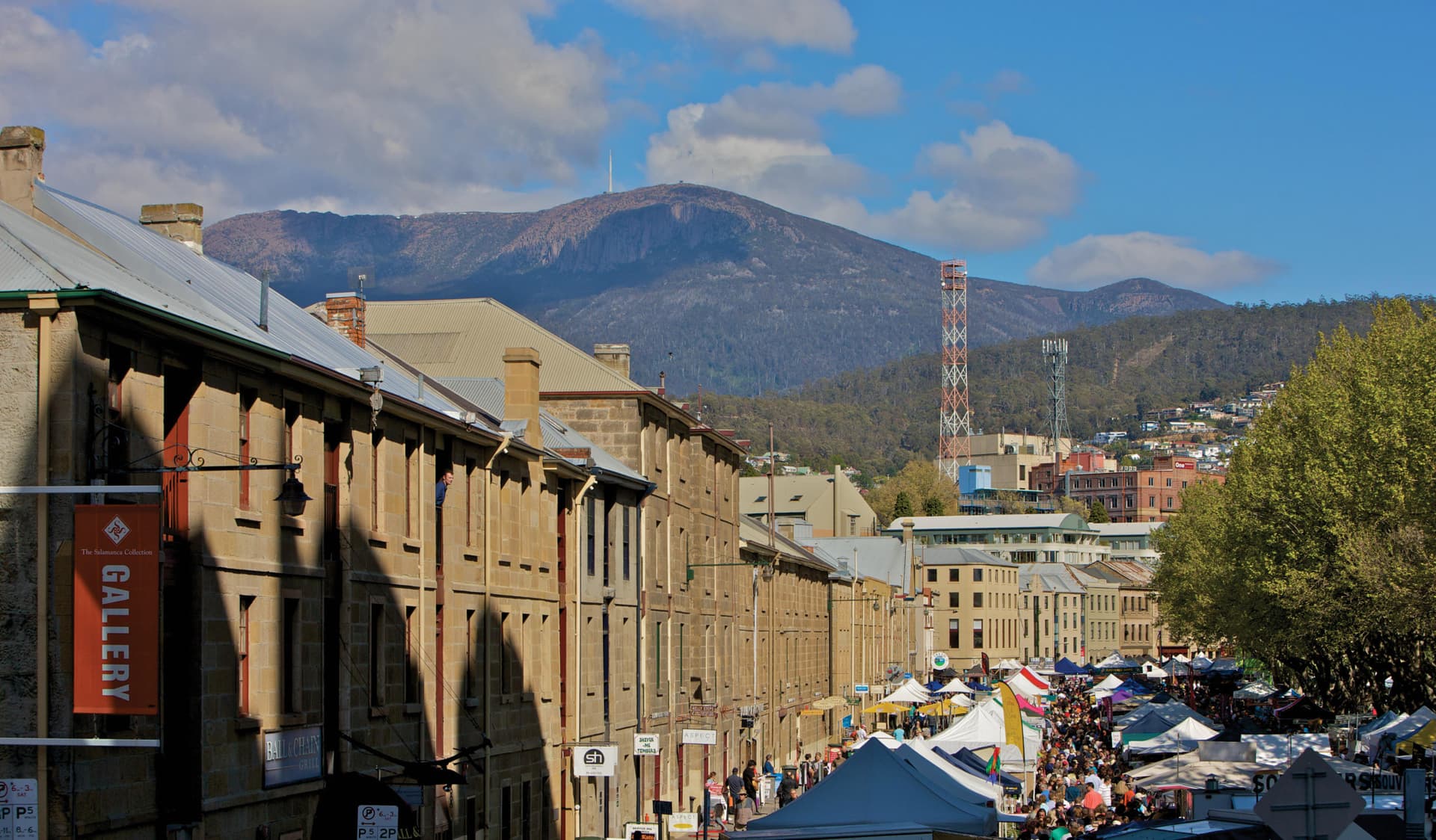 Mount Wellington and Hobart City Tour - تصویر 10