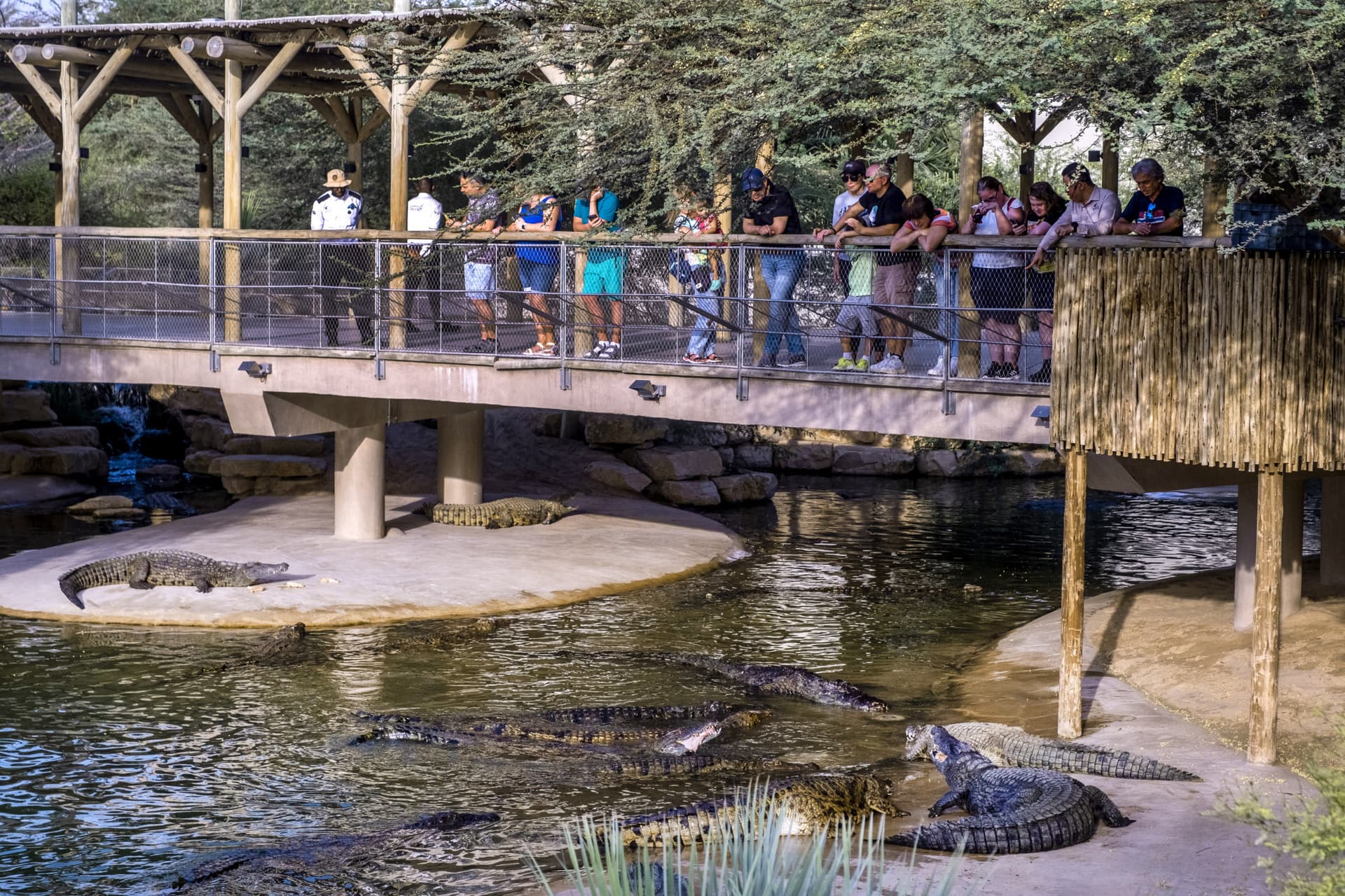 Dubai Crocodile Park - تصویر 5
