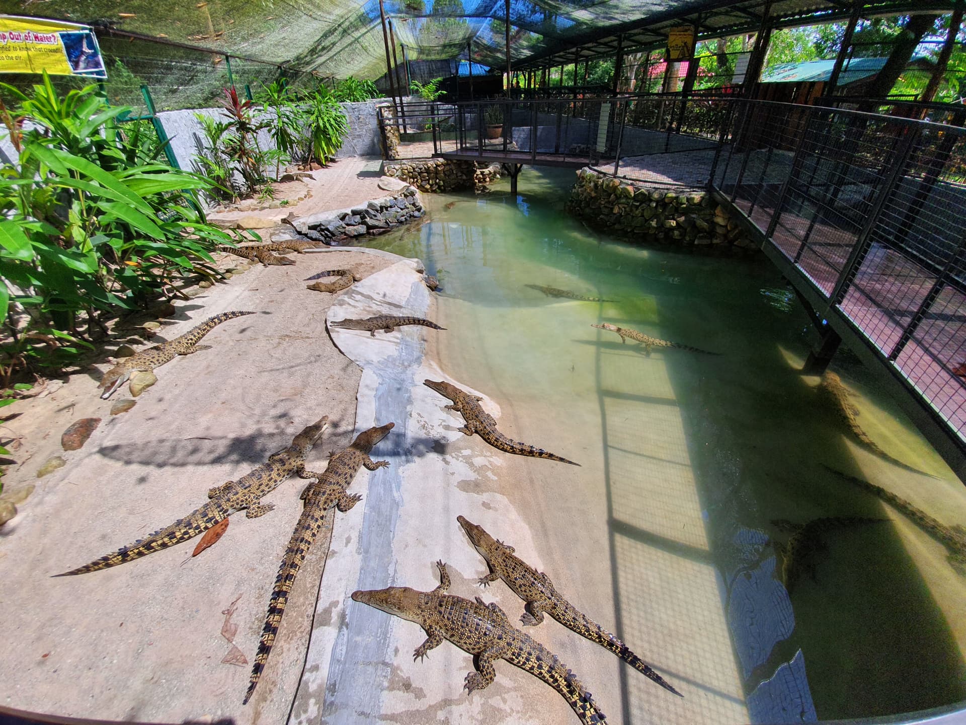 Crocodile Adventureland Langkawi - تصویر 9