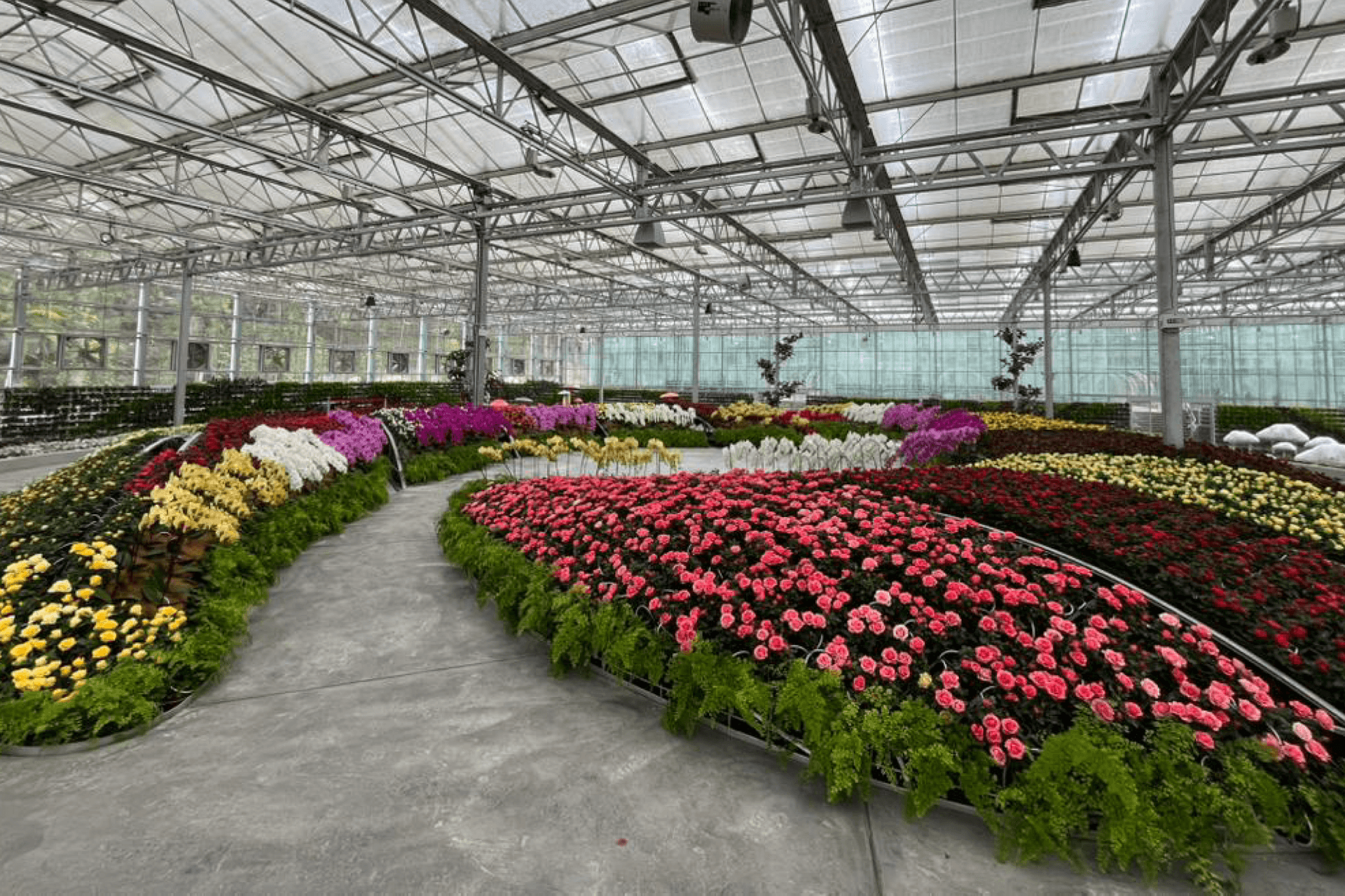 COMBO: Eufloria Gardens & Sculpture Park + Genting Skyway Tickets - تصویر اصلی