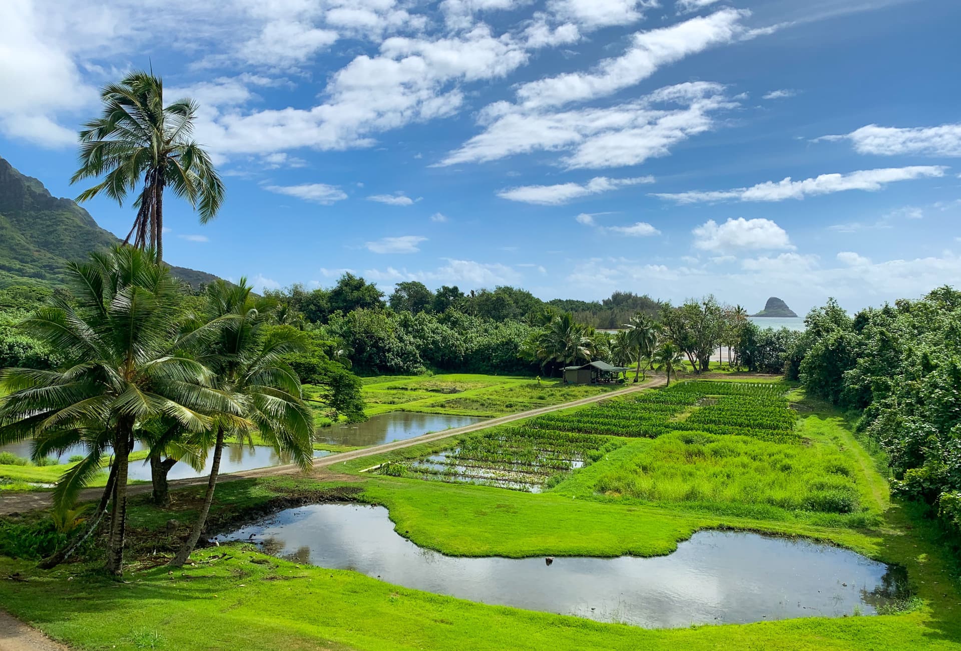 Go City Oahu Explorer Pass: Save up to 50% on Attractions - تصویر 4