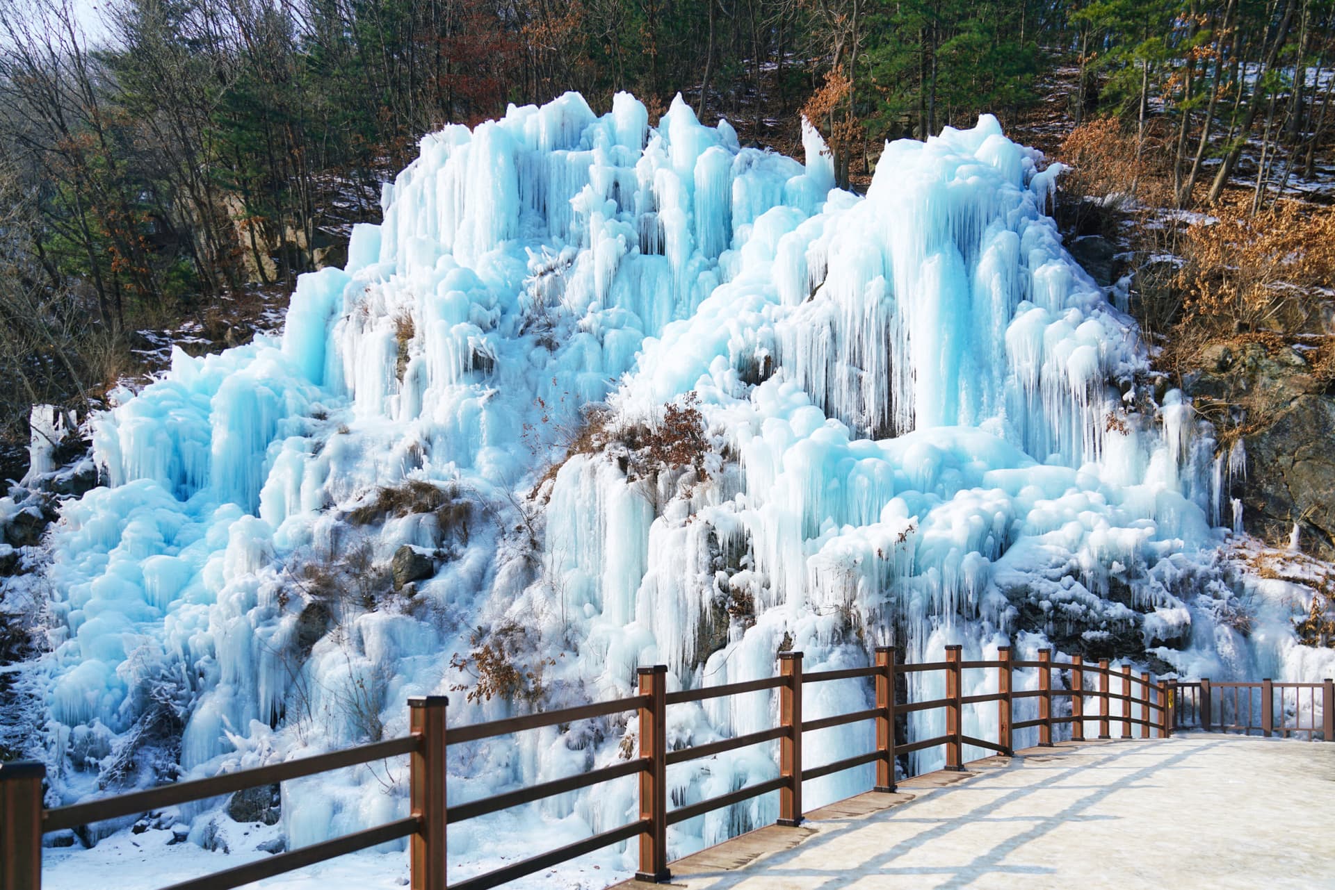 Alpaca World, Nami Island, and Garden of Morning Calm Tour from Seoul - تصویر 18