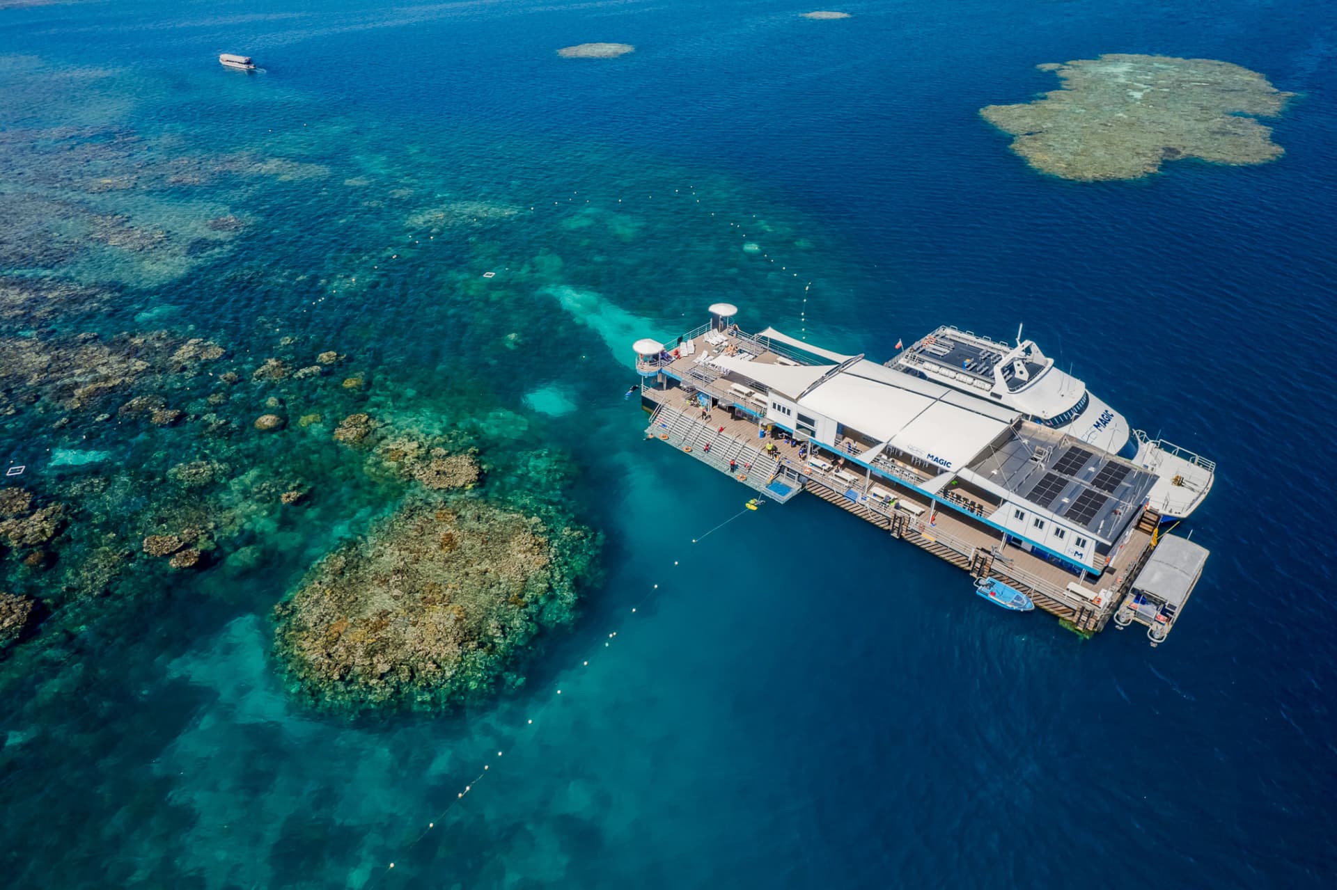 Reef Magic Pontoon Tour from Cairns - تصویر 9