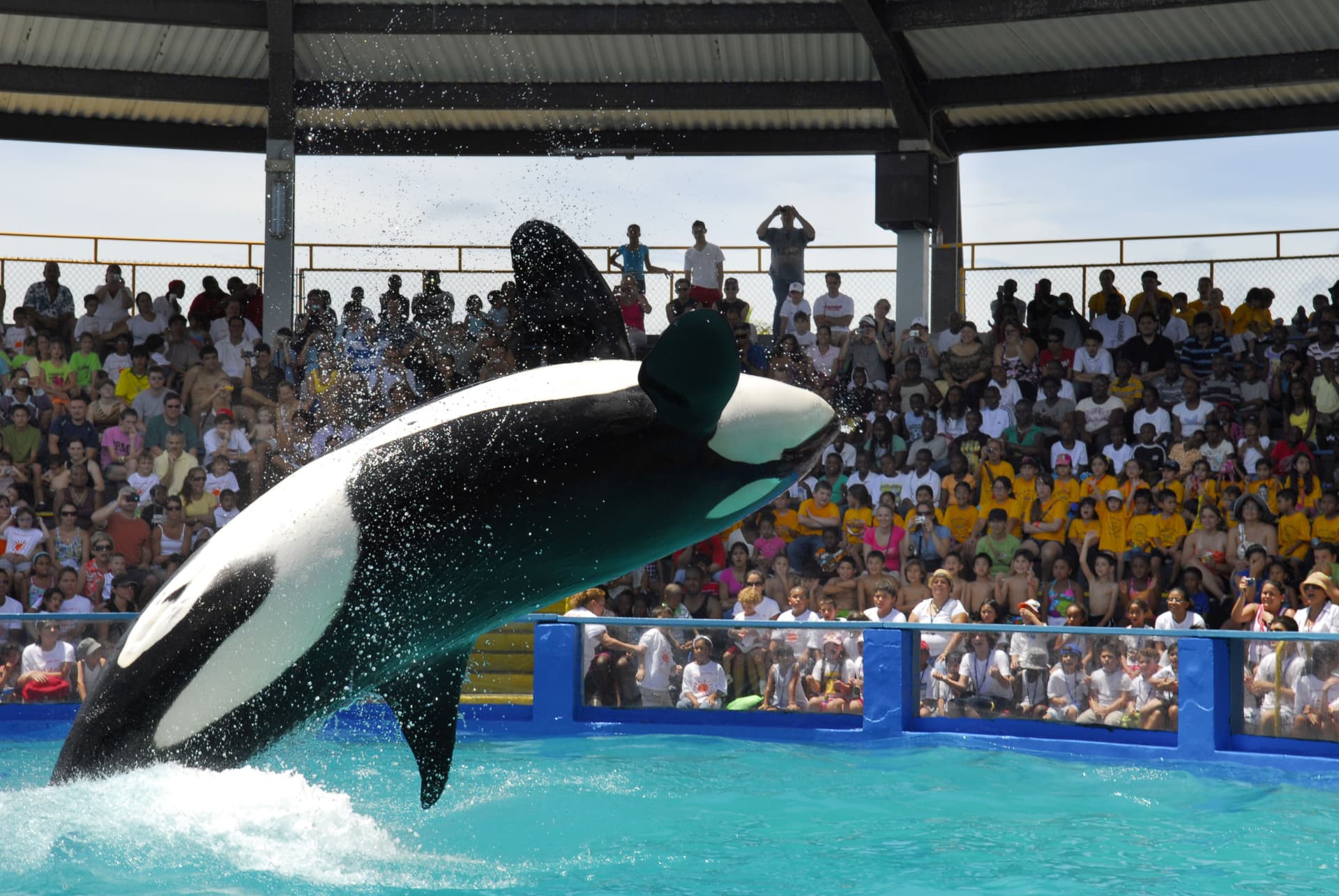 Go City Miami All-Inclusive Pass: Save up to 50% on Attractions - تصویر 27