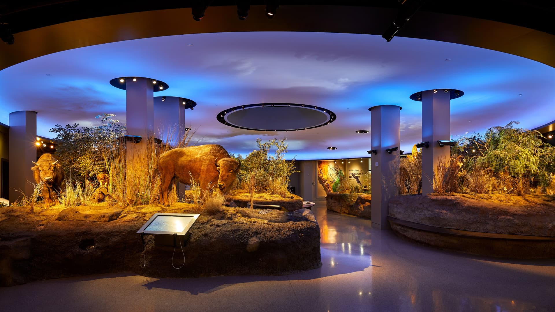 Go City San Antonio Essentials Pass: 3 Attractions - تصویر 13