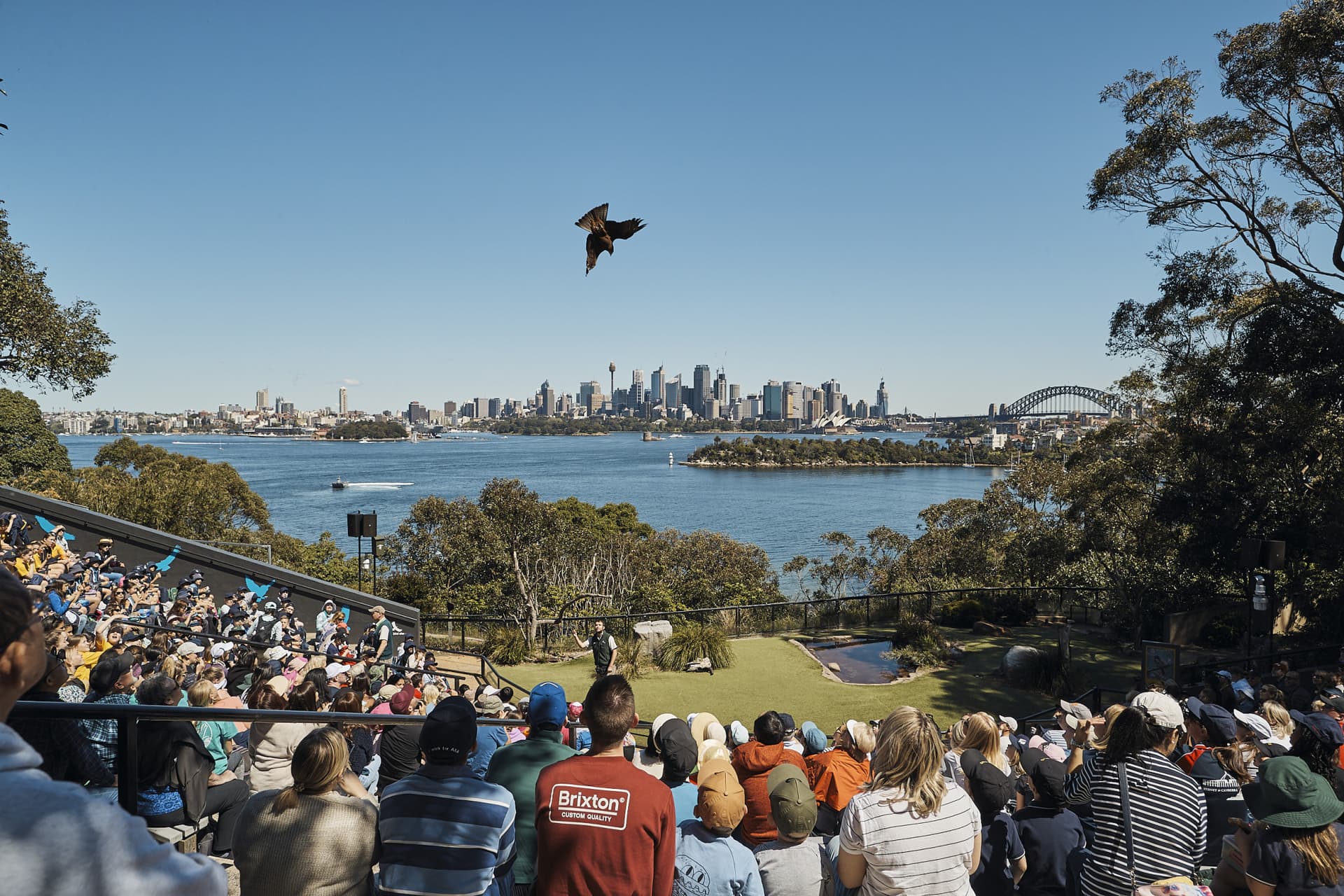 Go City Sydney Explorer Pass: Save up to 50% on Attractions - تصویر 13