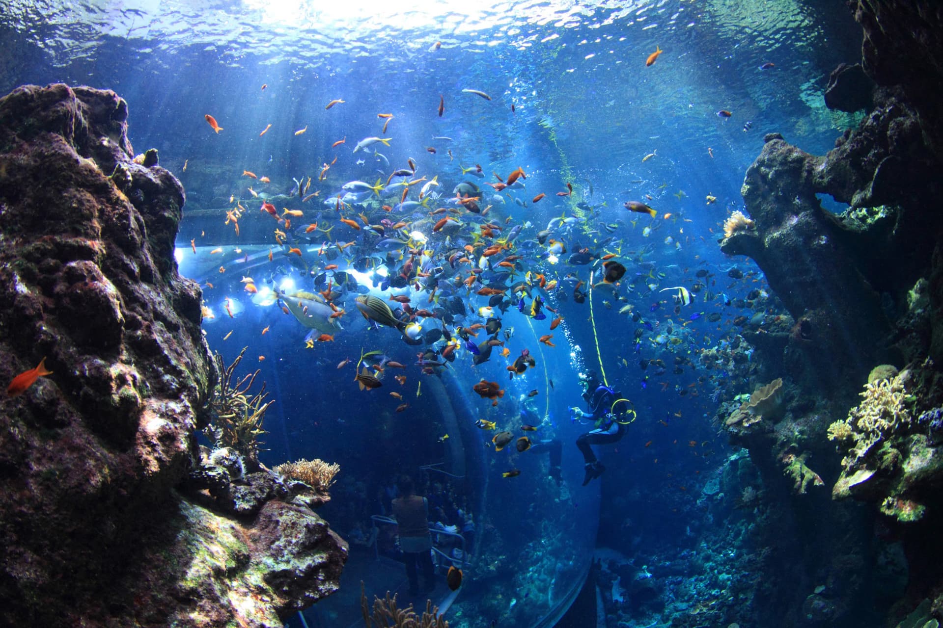 Go City San Francisco Explorer Pass: Save up to 50% on Attractions - تصویر 10