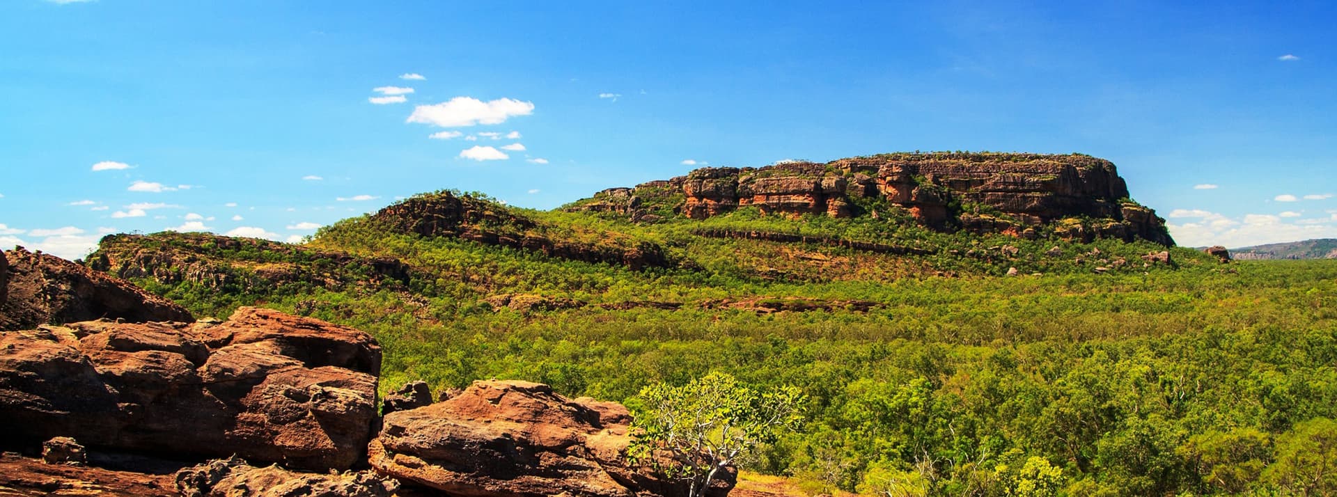 Kakadu National Park Tour from Darwin - تصویر 2