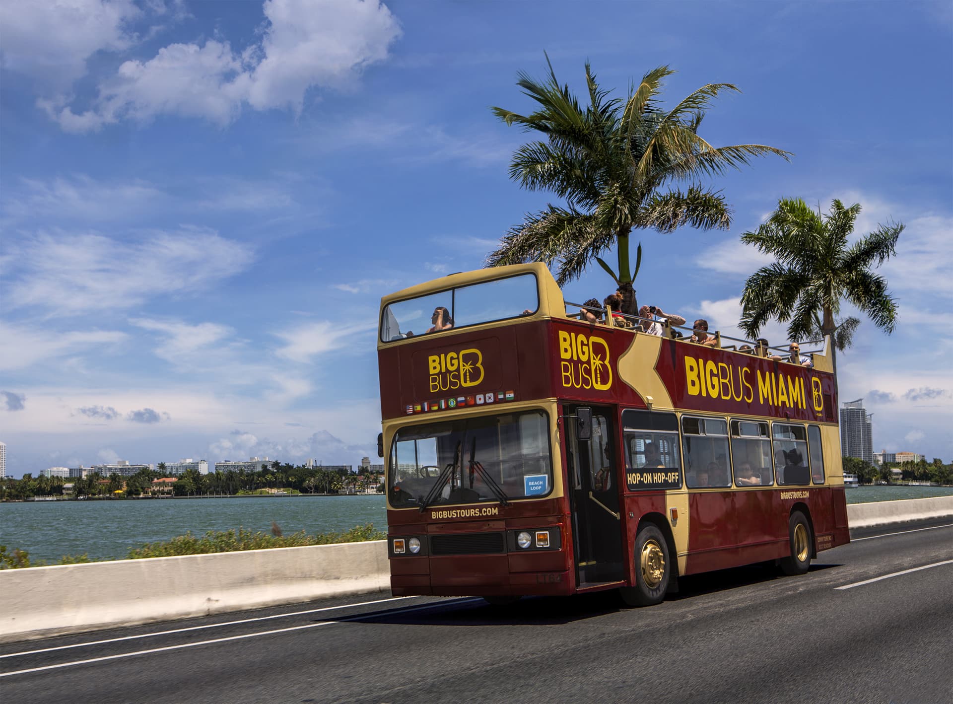 Go City Miami All-Inclusive Pass: Save up to 50% on Attractions - تصویر 8