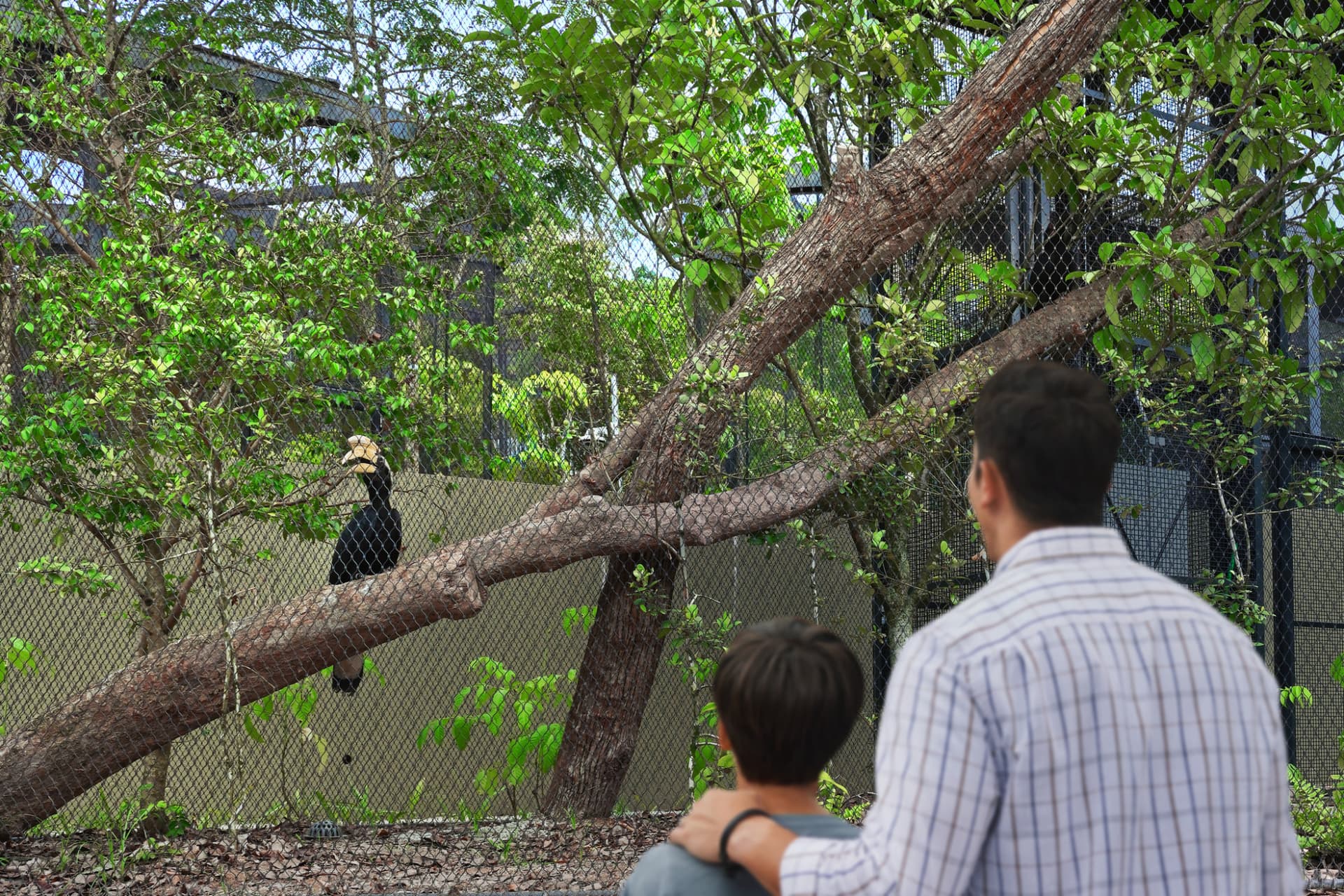 Singapore Bird Paradise Ticket - تصویر 14
