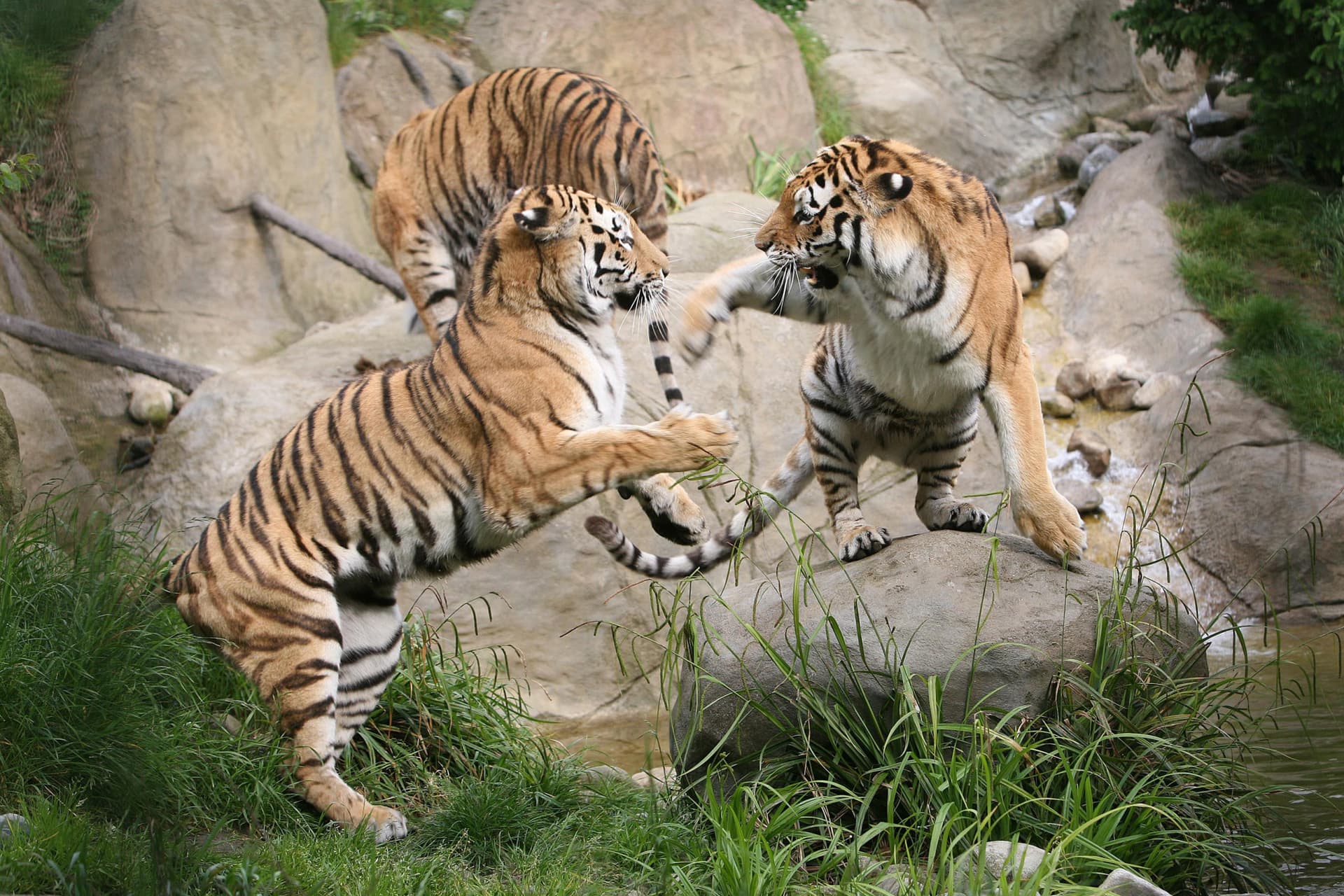 Go City Dublin Explorer Pass: Save up to 50% on Attractions - تصویر 39