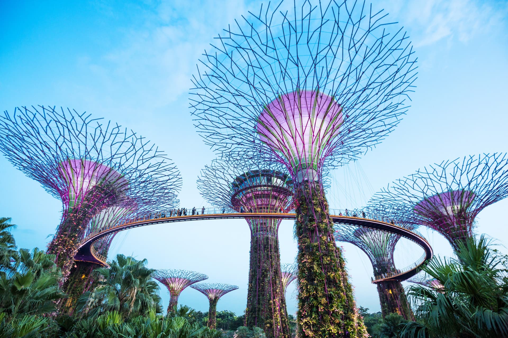 Go City Singapore All-Inclusive Pass: Save up to 50% on Attractions - تصویر 4