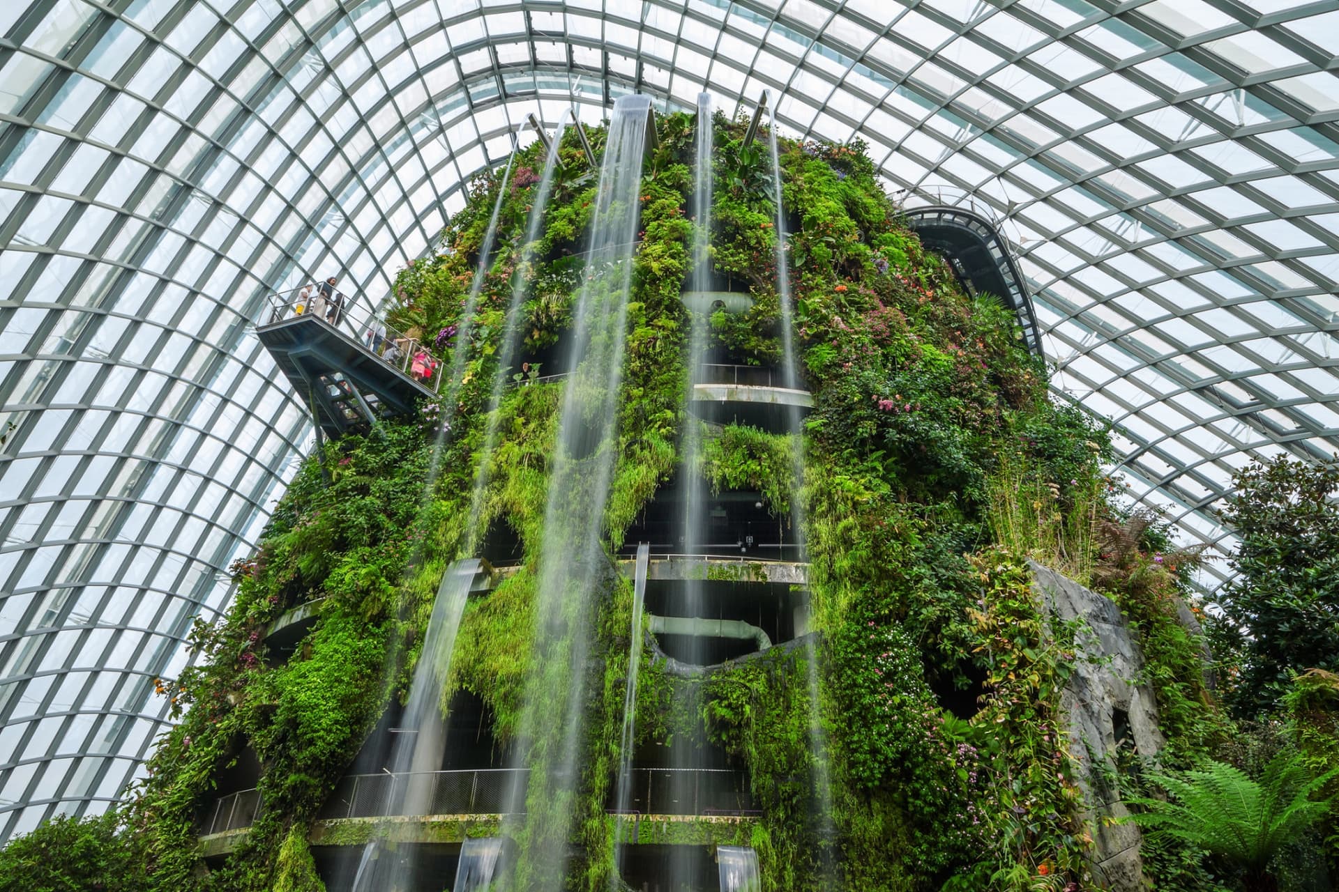 COMBO: Adventure Cove Waterpark + Gardens by the Bay Ticket - تصویر 7