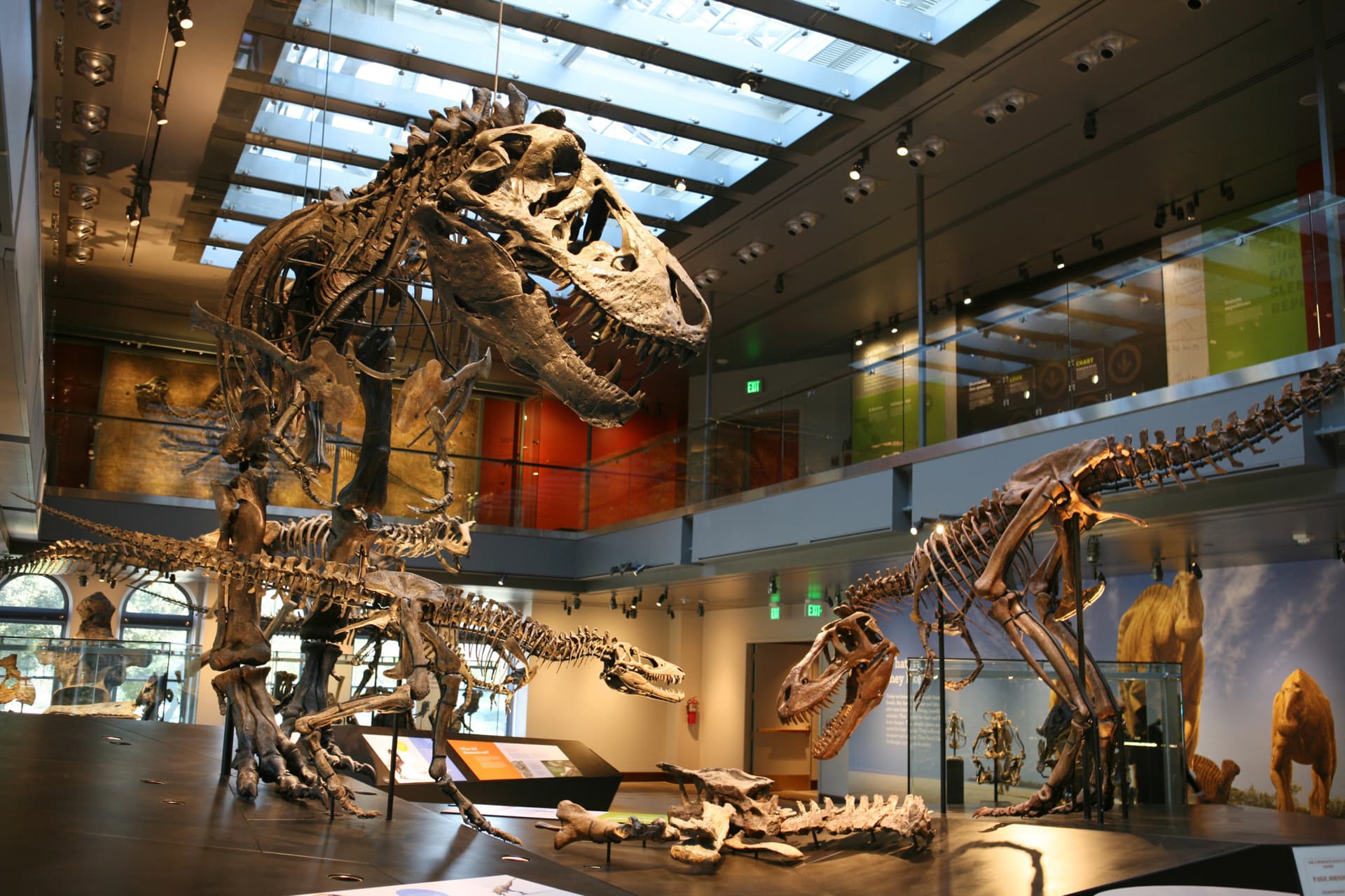 Go City Los Angeles All-Inclusive Pass: Save up to 50% on Attractions - تصویر 5