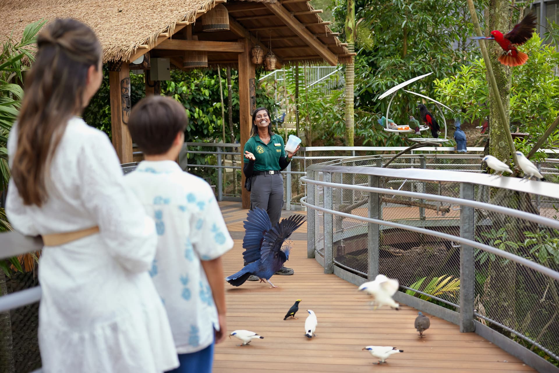 Singapore Bird Paradise Ticket - تصویر 13