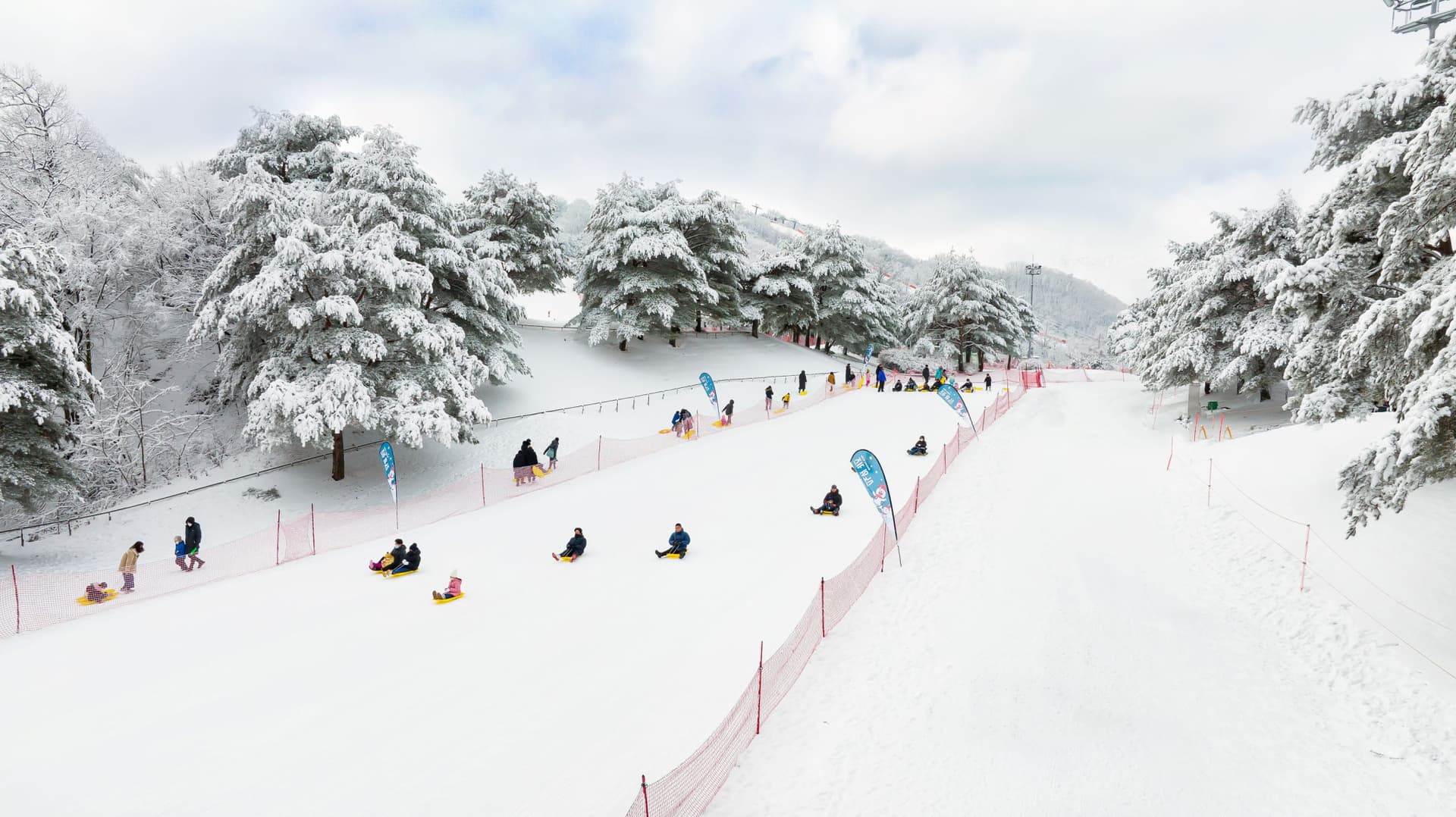 Strawberry Picking, Vivaldi Park, and Eobi Ice Valley Full-Day Tour from Seoul - تصویر 9