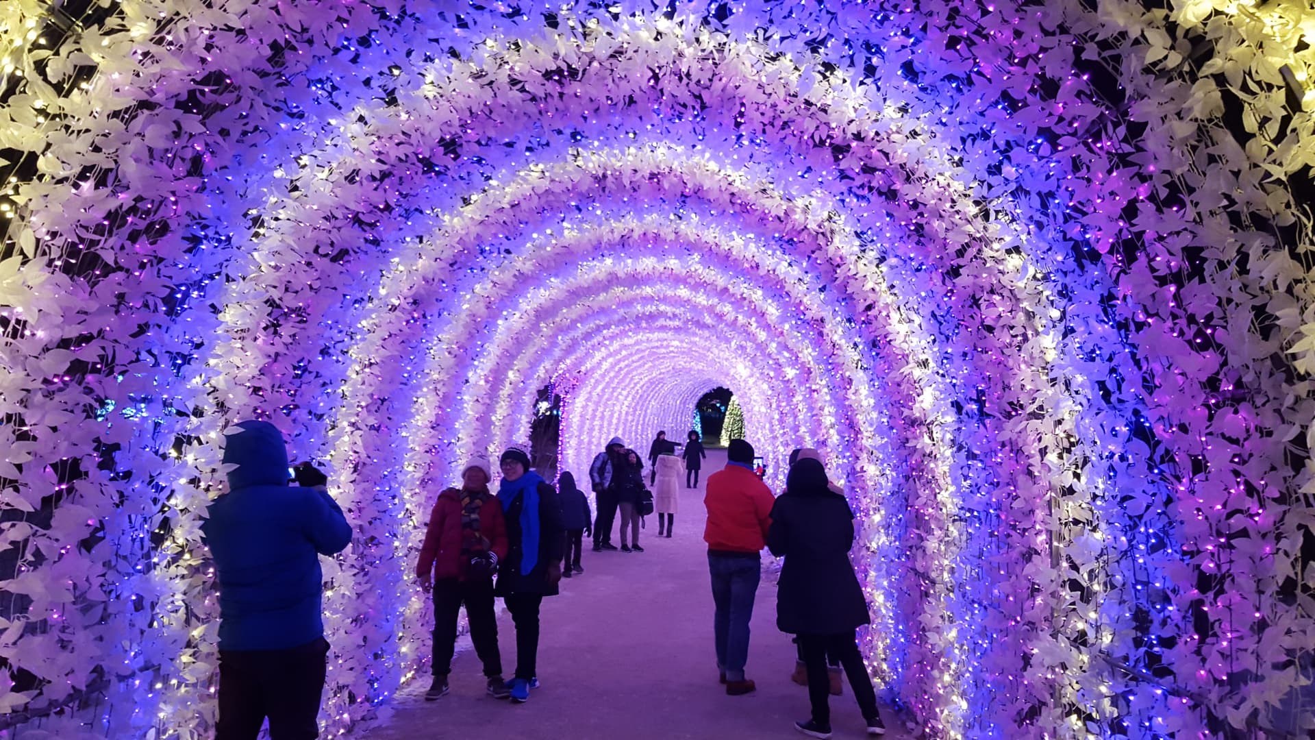Nami Island, Mount Seorak, and Garden of Morning Calm Full-Day Tour from Seoul - تصویر 12