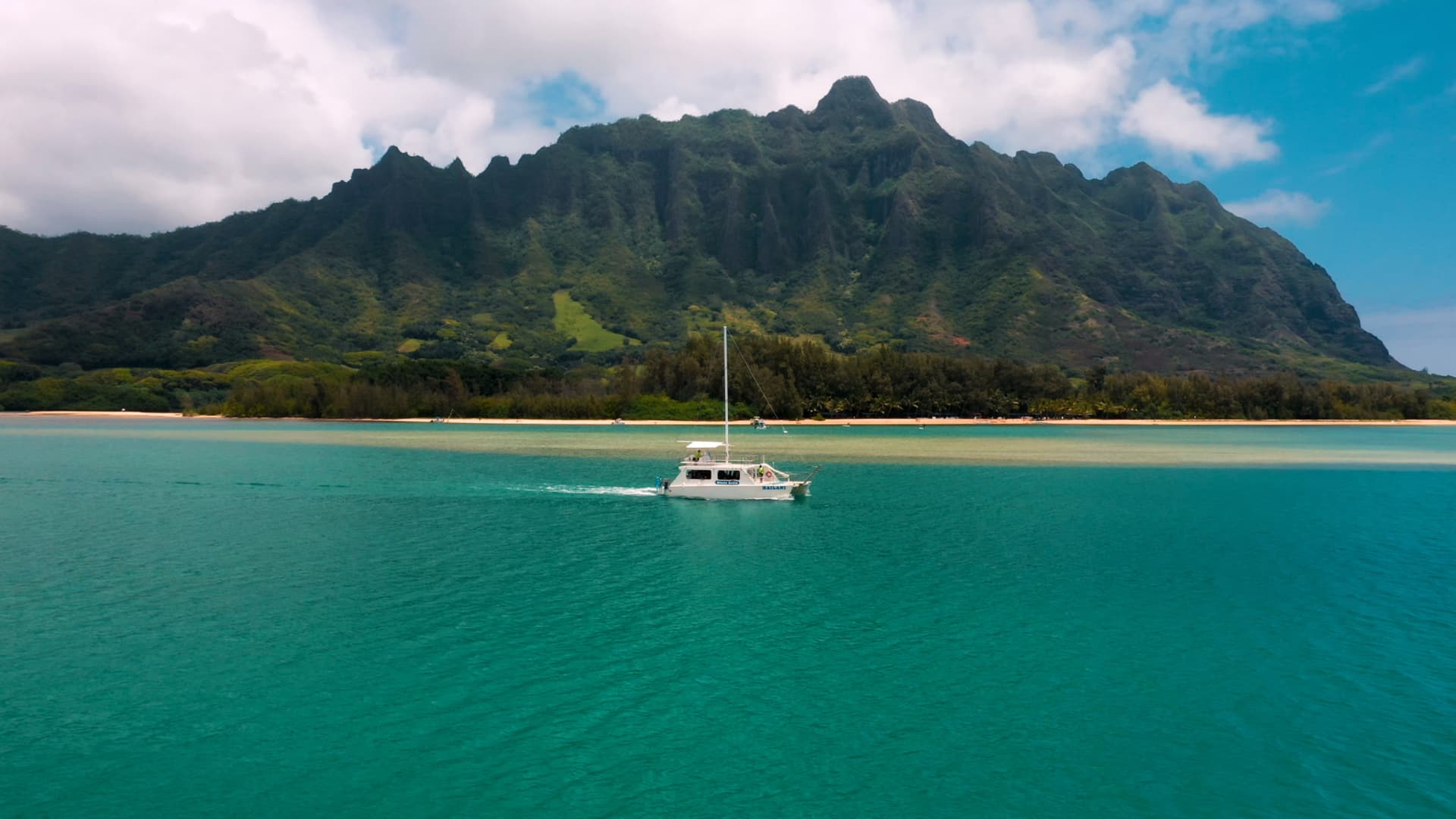 Go City Oahu Explorer Pass: Save up to 50% on Attractions - تصویر 50
