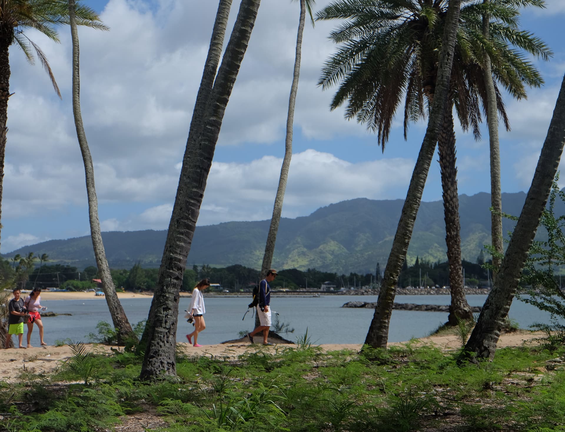 Go City Oahu Explorer Pass: Save up to 50% on Attractions - تصویر 43