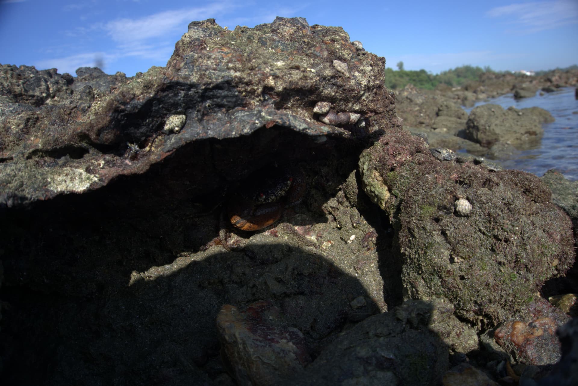 Desaru Beach and Tide Pool Walk - تصویر 39