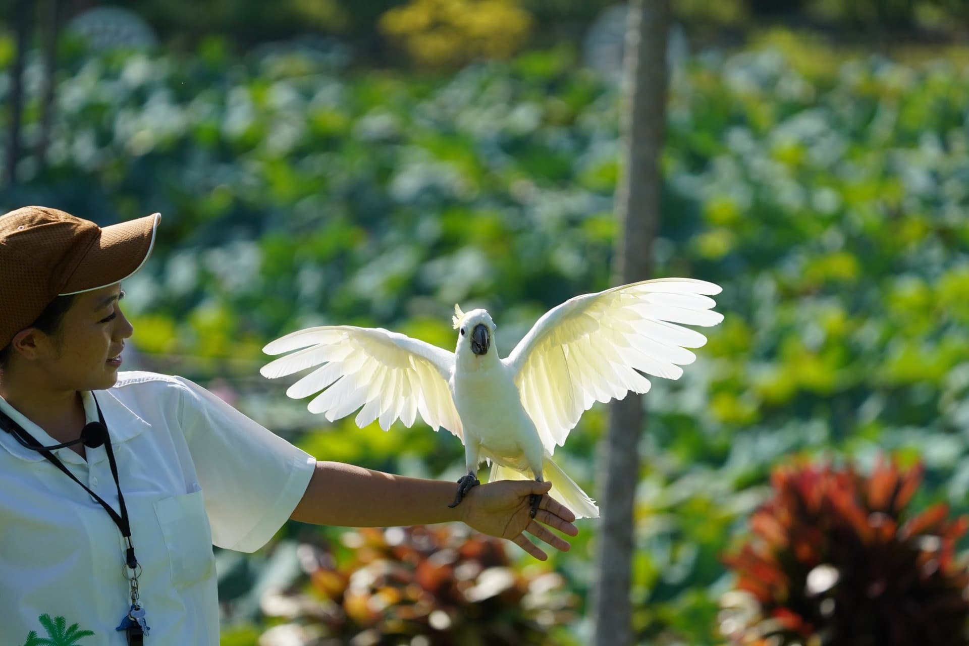 Okinawa Southeast Botanical Gardens - تصویر 34