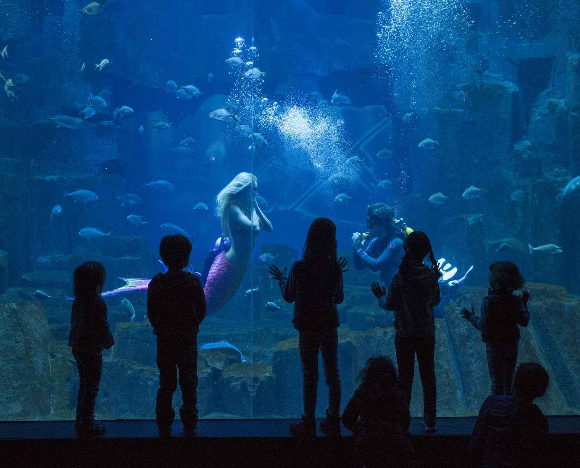 The Paris Pass: Save up to 50% on Attractions - تصویر 21