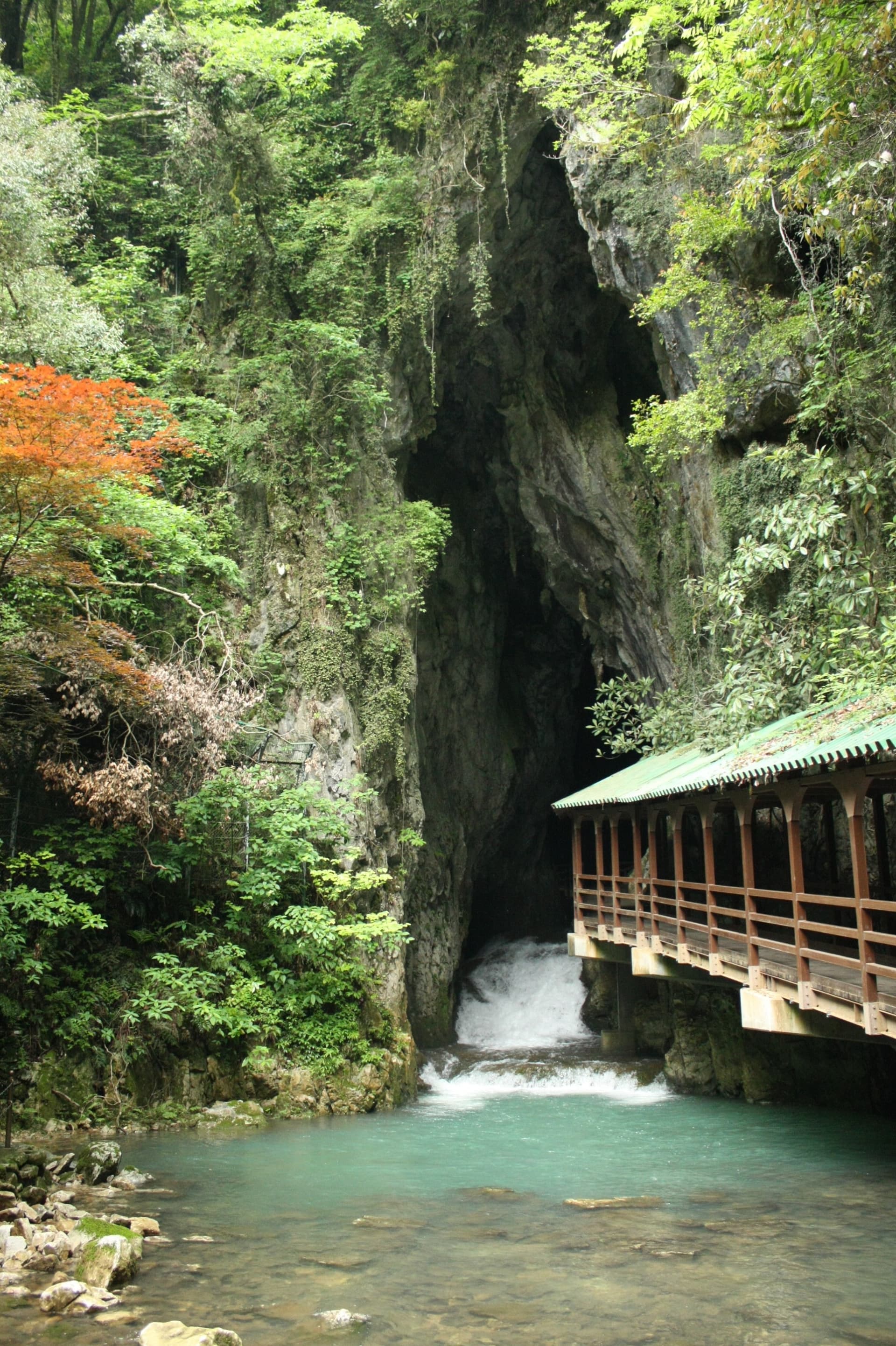 Akiyoshido Cave Ticket - تصویر 3