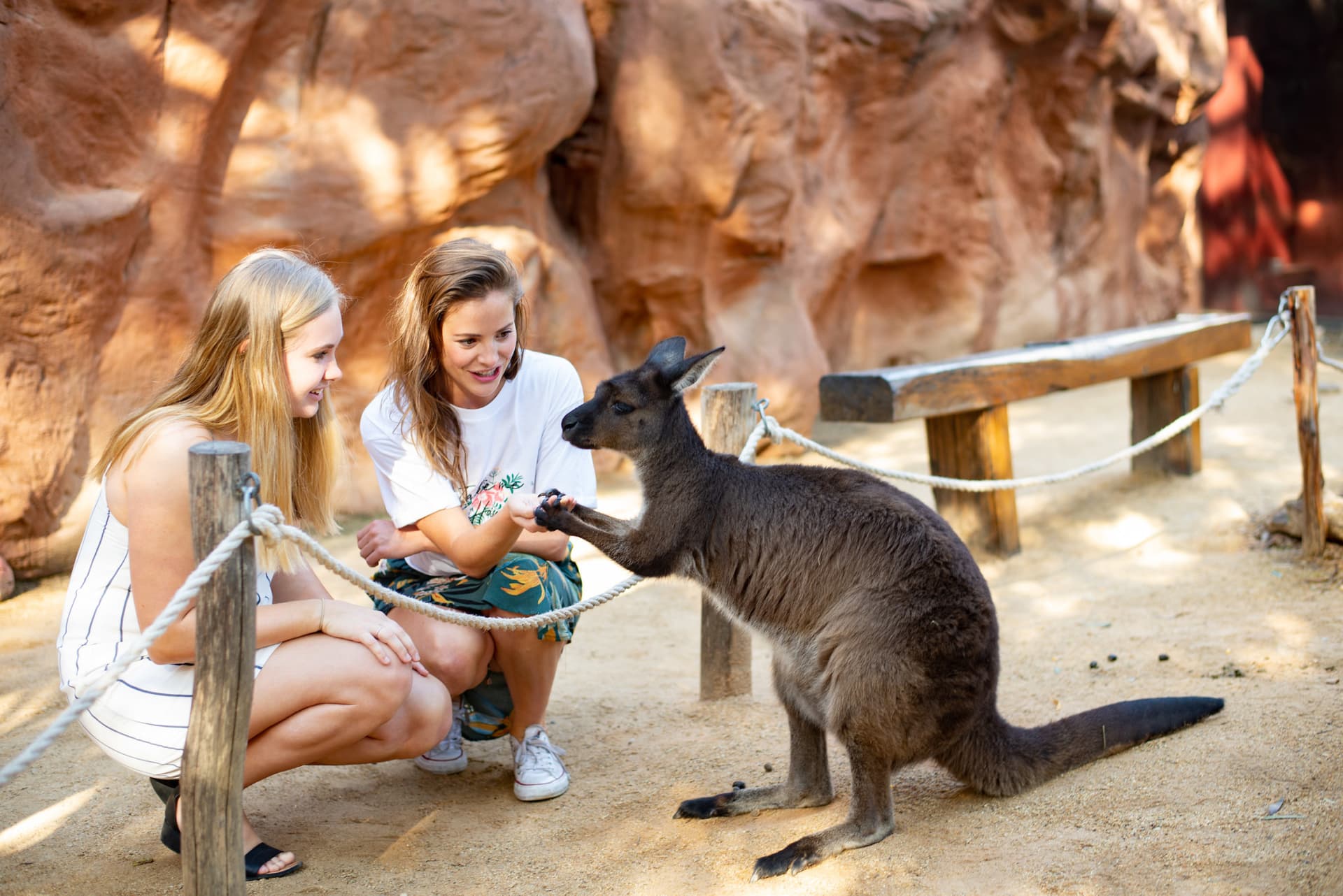 WILD LIFE Sydney Zoo Direct Entry Ticket - تصویر اصلی