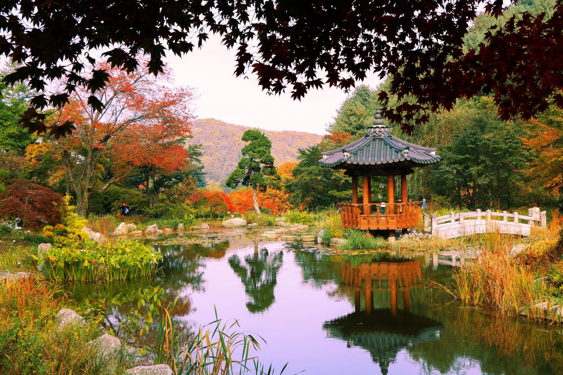 Nami Island, Petite France, Garden of Morning Calm, and Gangchon Rail Bike Tour from Seoul - تصویر 3