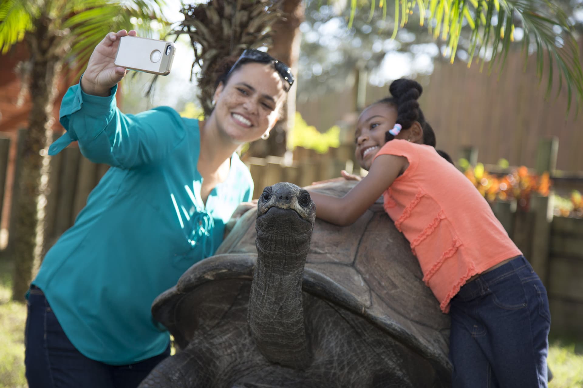 Go City Orlando All-Inclusive Pass: Save up to 50% on Attractions - تصویر 38