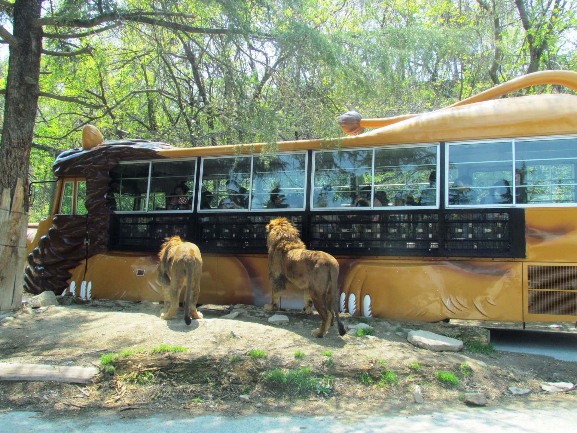 Gunma Safari Park Ticket - تصویر 3