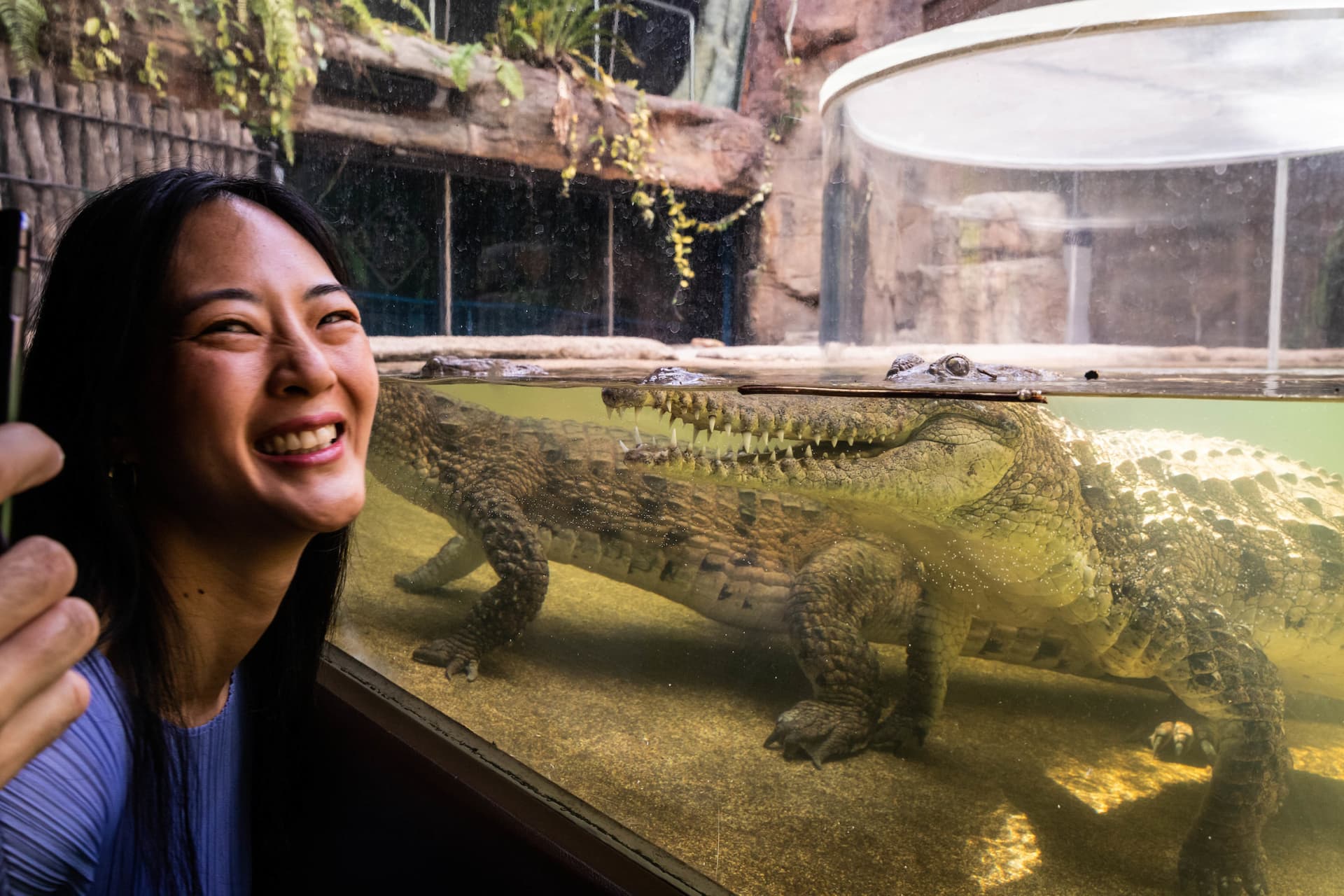 WILD LIFE Sydney Zoo Direct Entry Ticket - تصویر 3