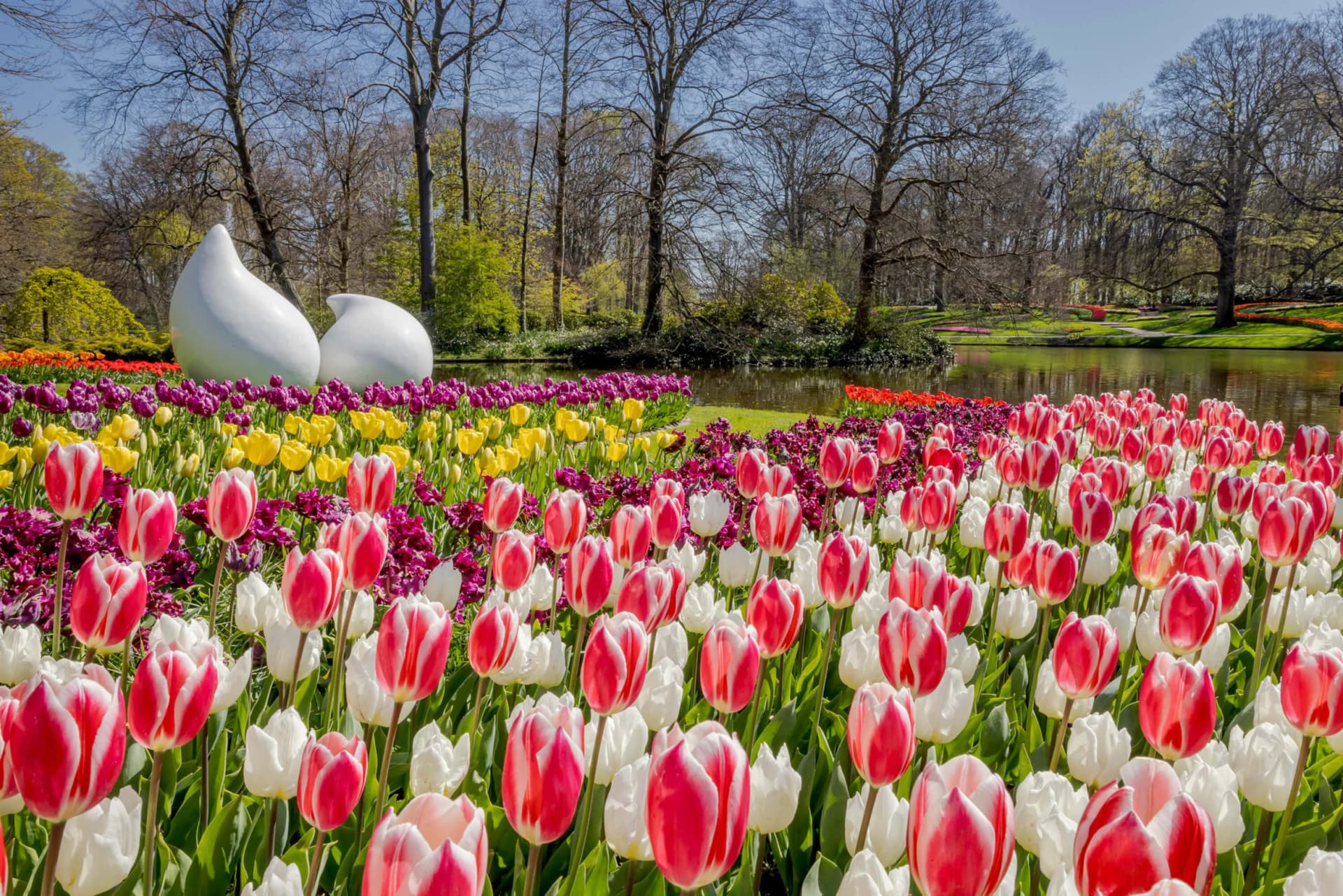 Go City Amsterdam All-Inclusive Pass: Save up to 50% on Attractions - تصویر 6